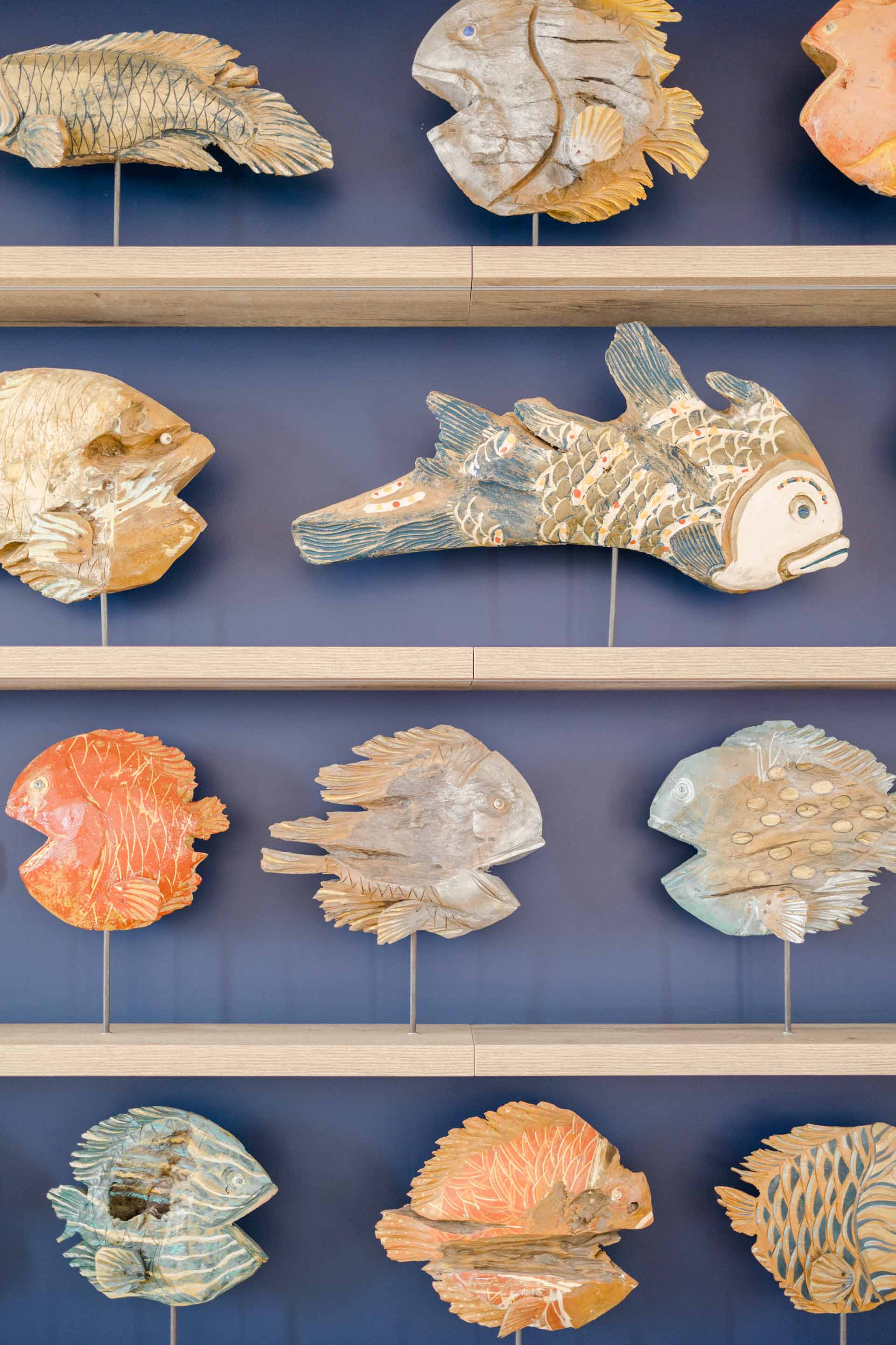 fossile coquillage rose gris bleu