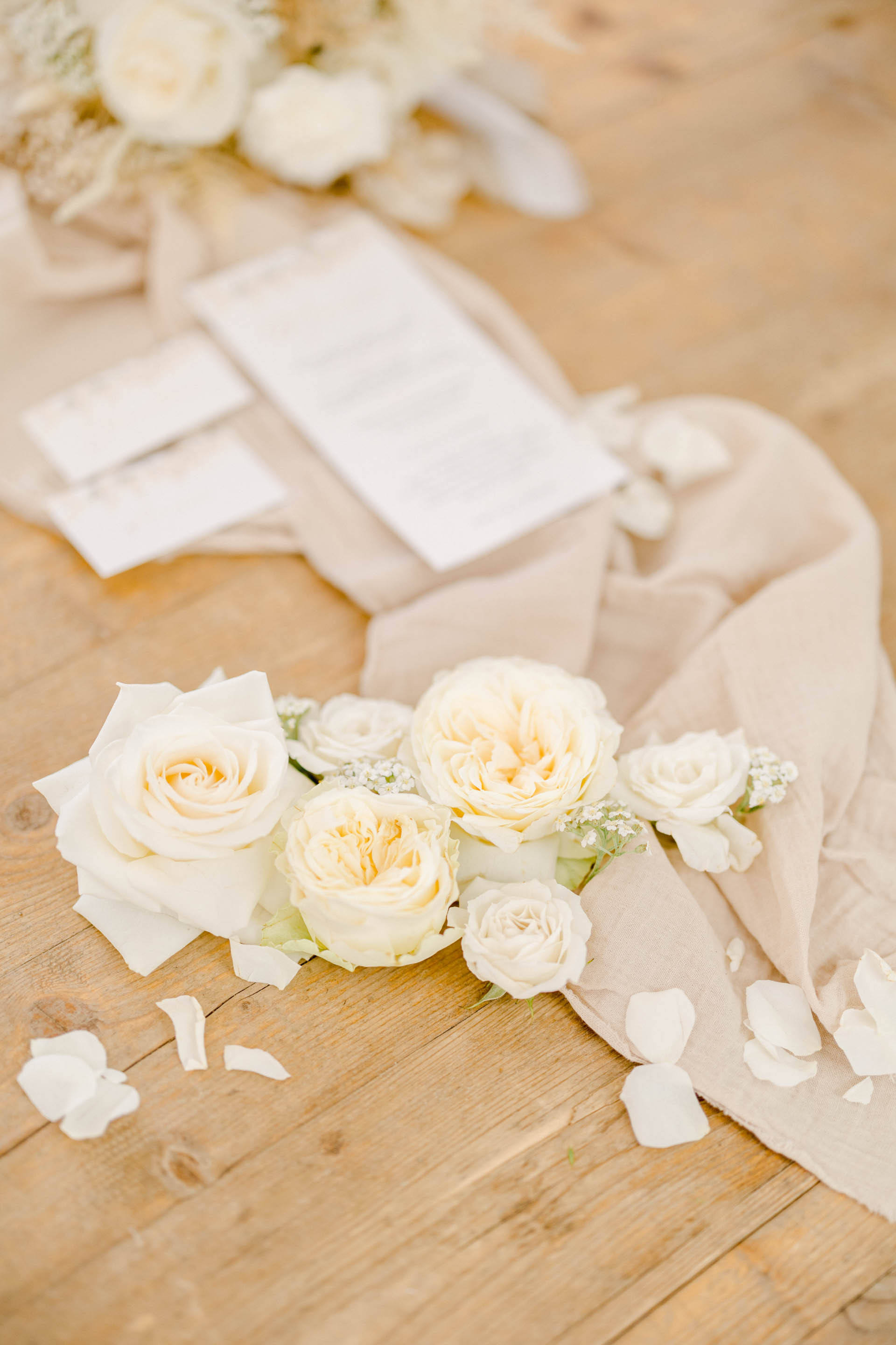 fleur pétale blanc rosiers de jardin rose