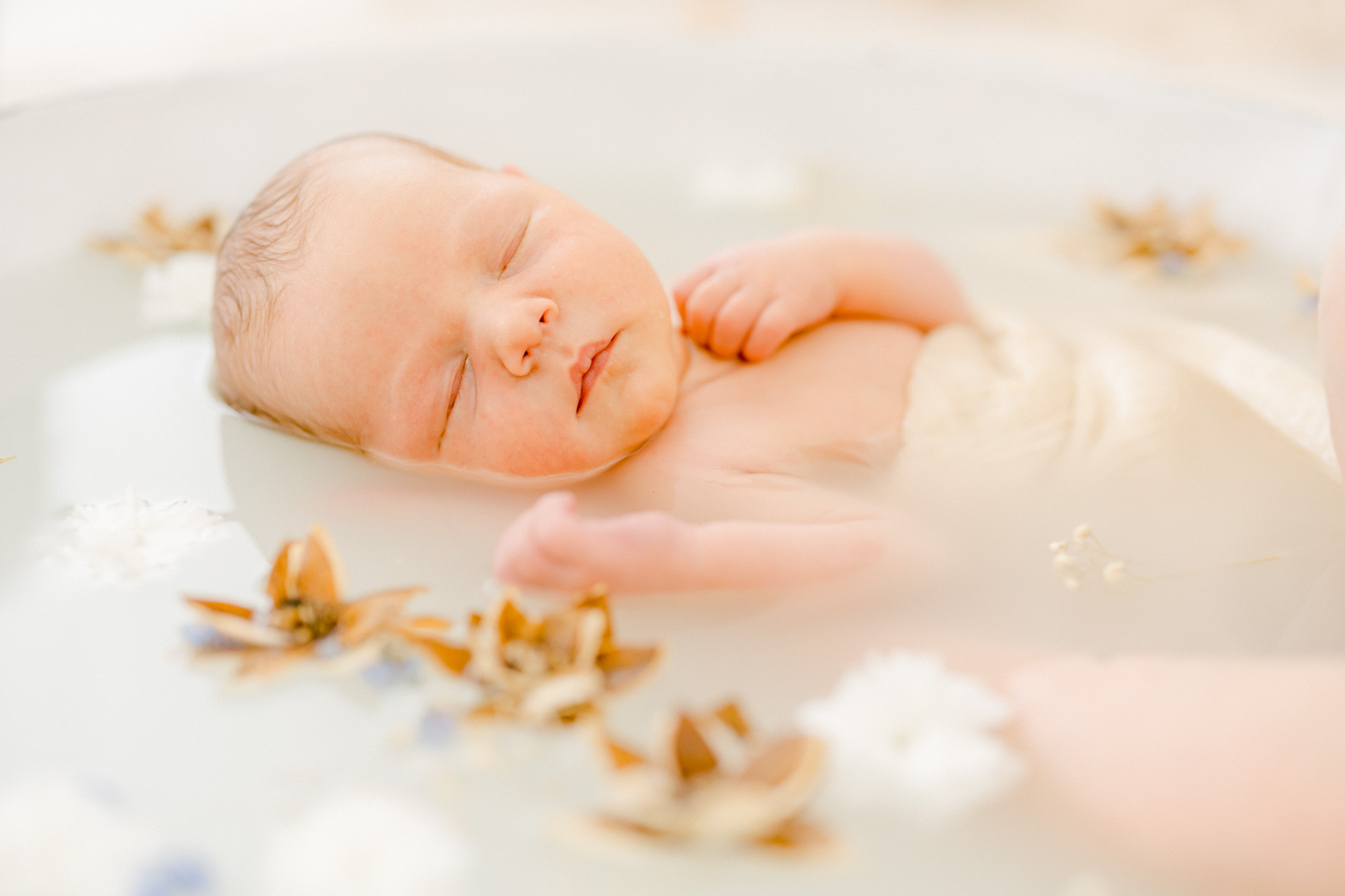 enfant naissance marron gris orange