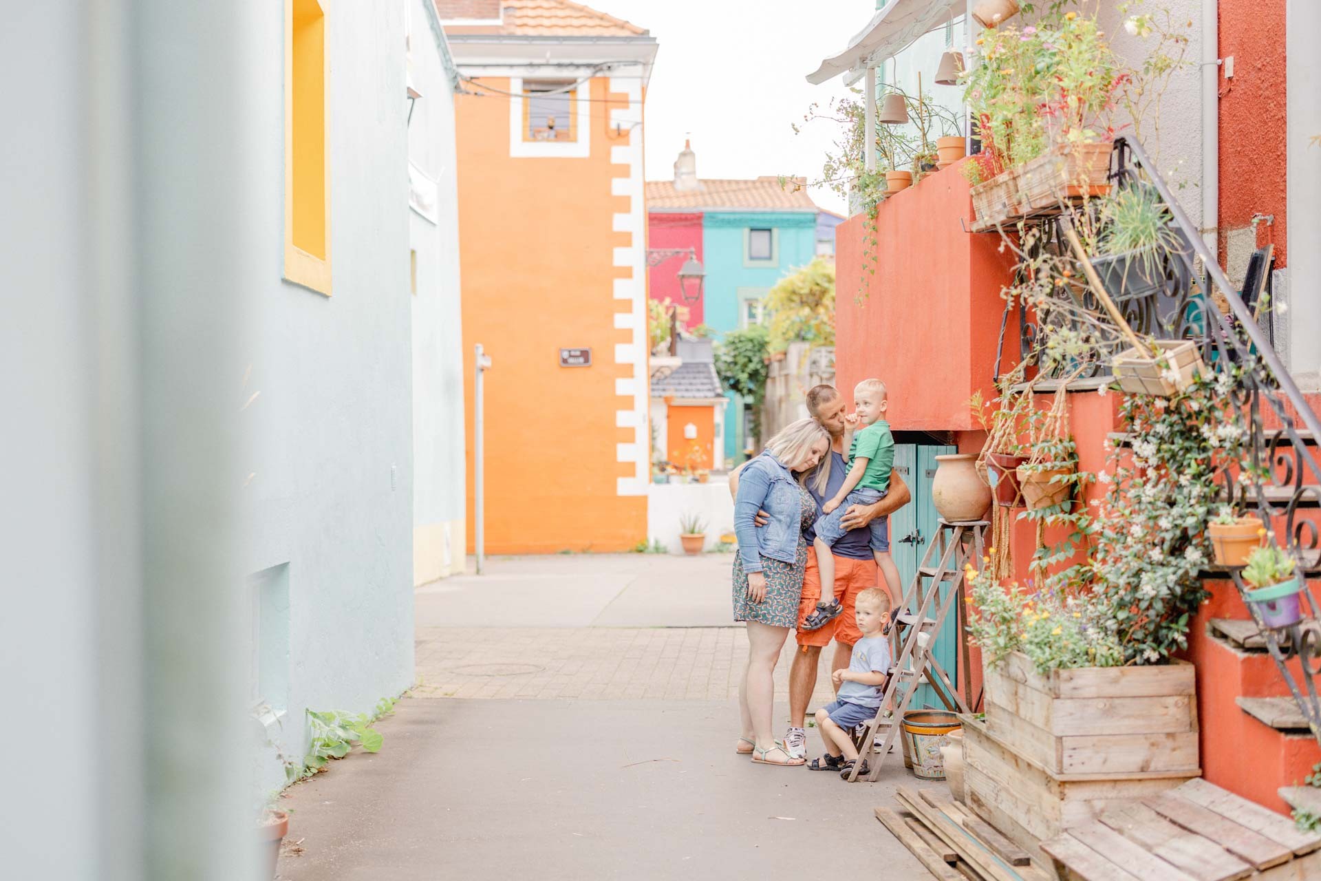 orange plante d'intérieur gris marron fleurs