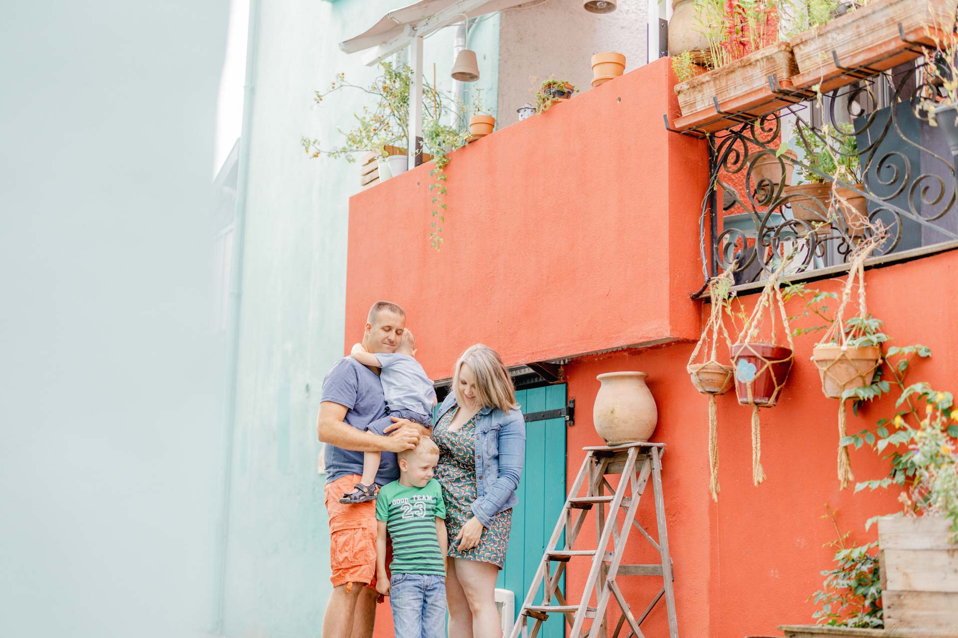 bonheur plante d'intérieur amour marron gris