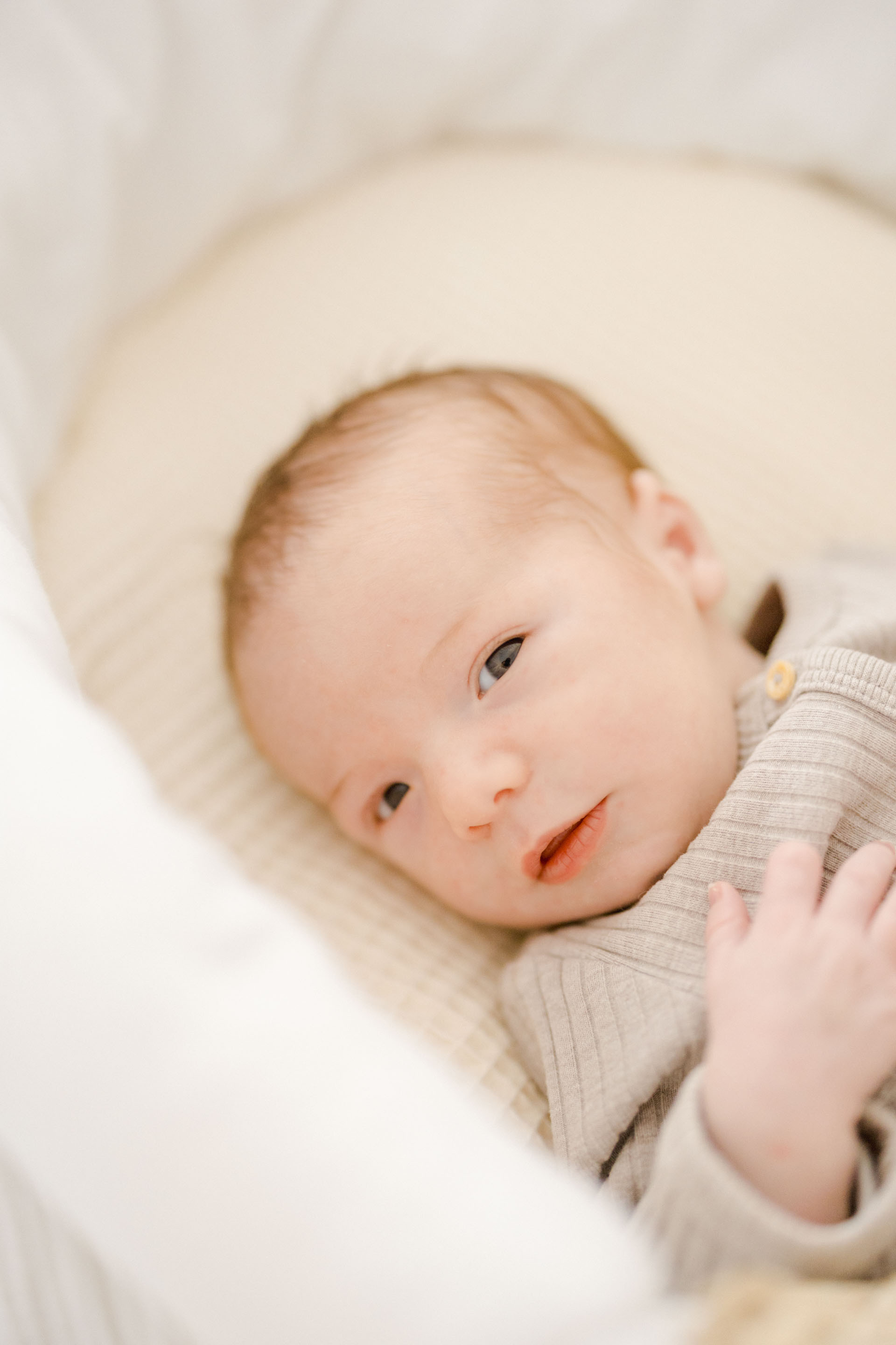 enfant marron gris bébé studio