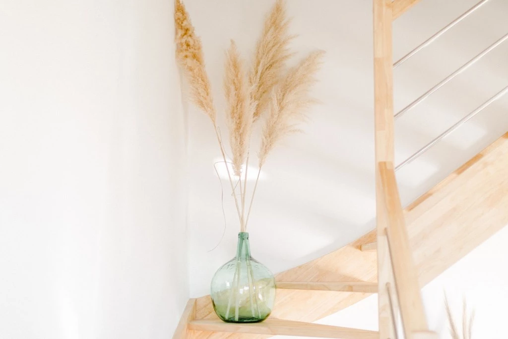 Candice - A l'image des mots