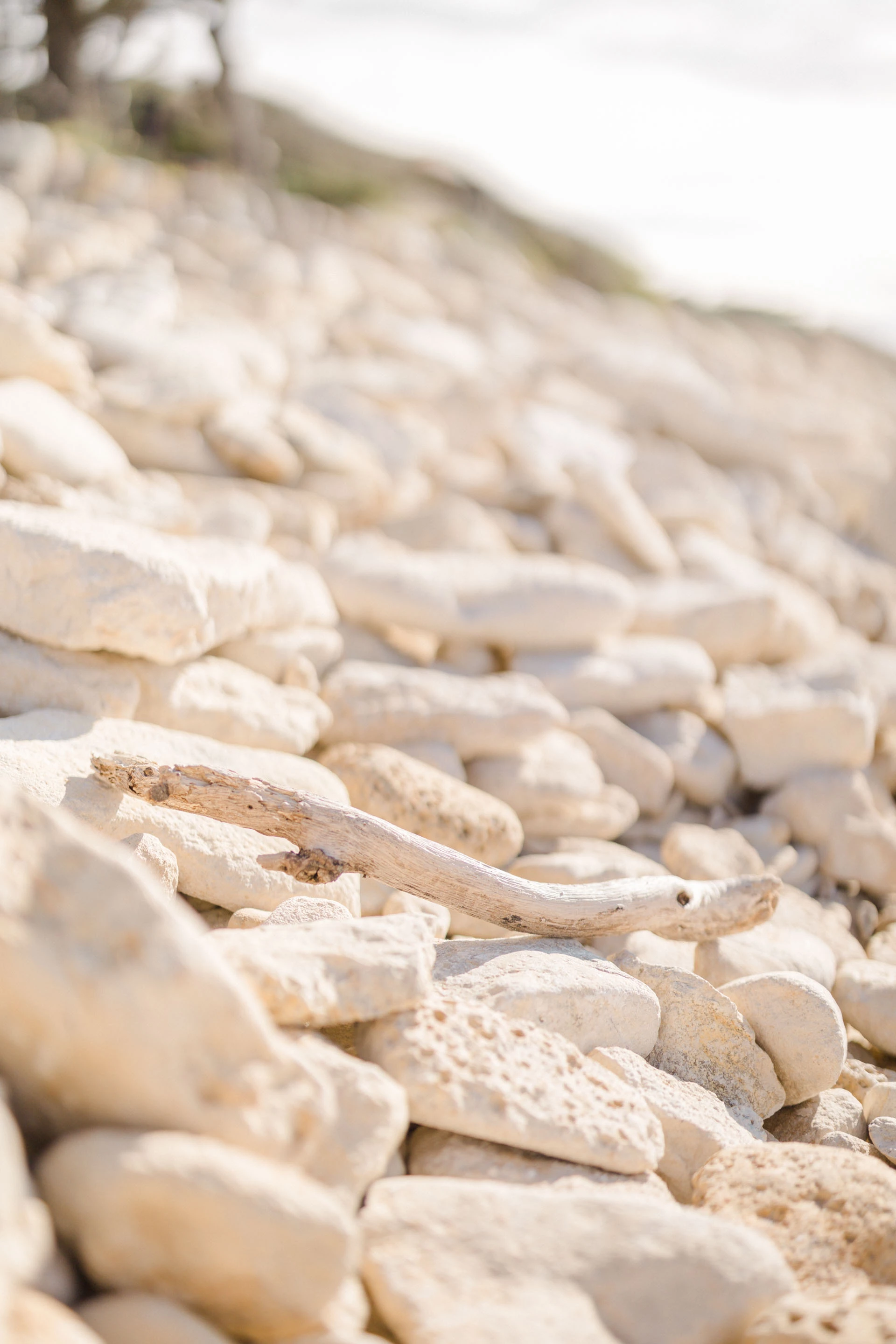 rocher pavé calcaire marron gris