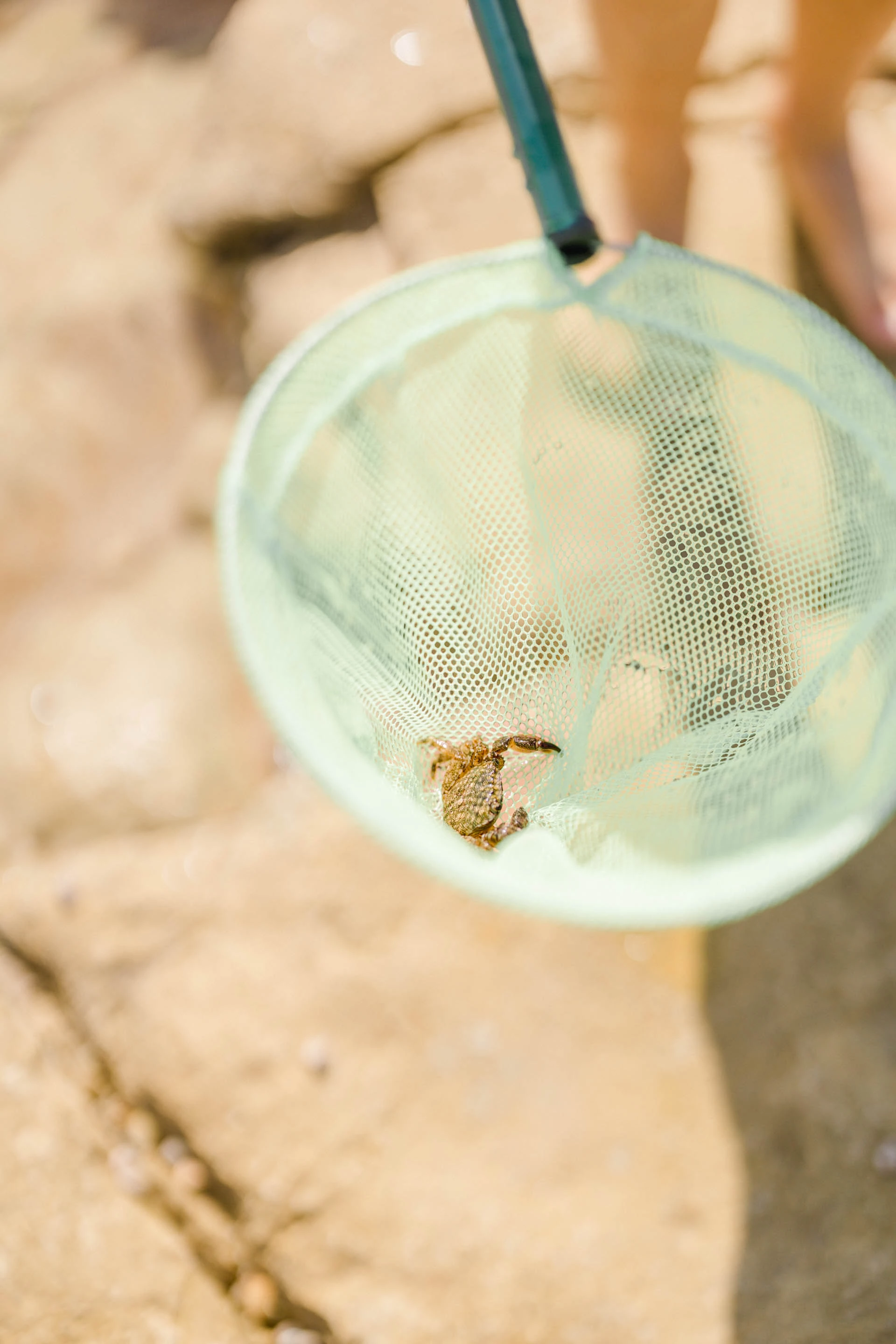 marron gris extérieur