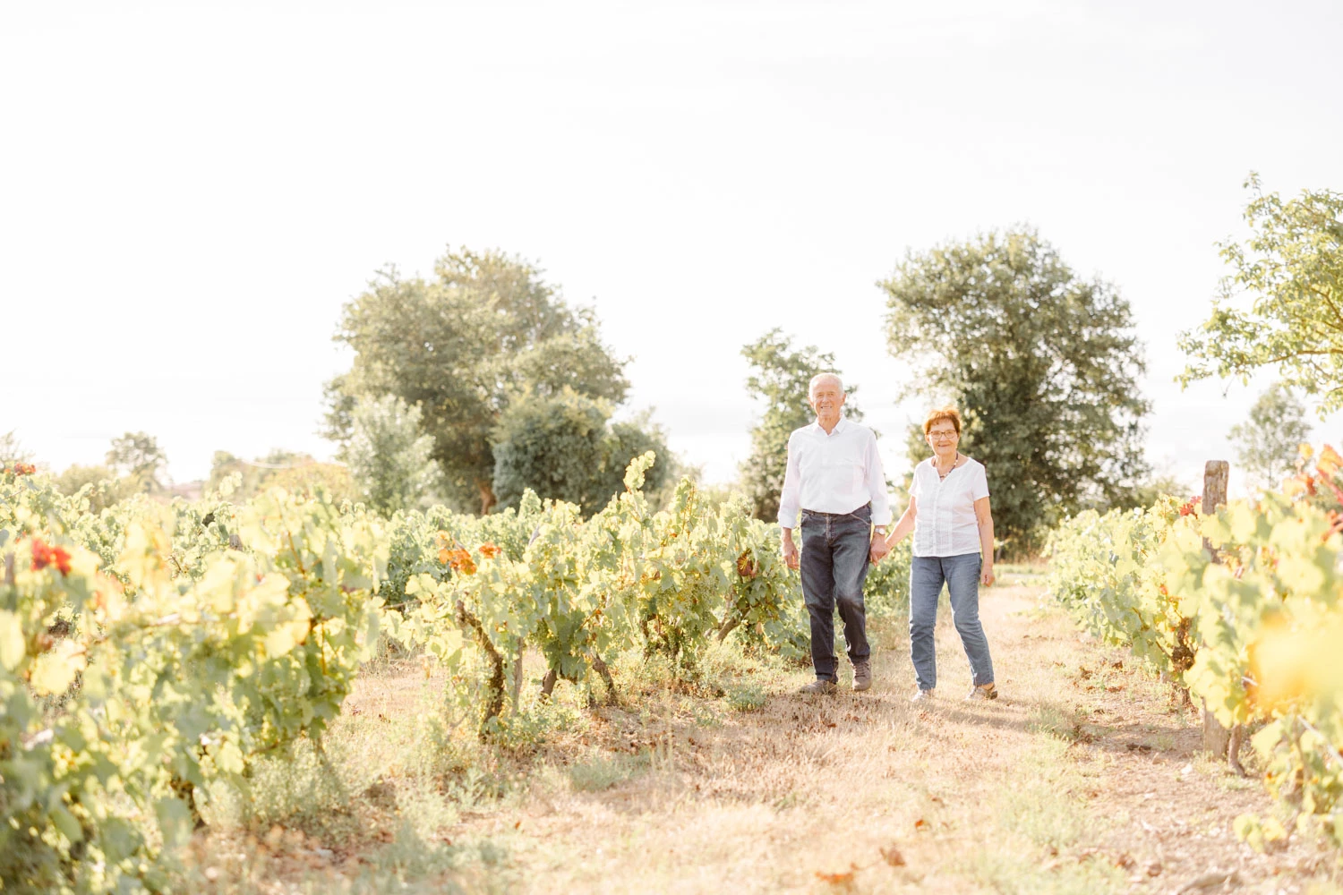 plantation bonheur sol amour vignes