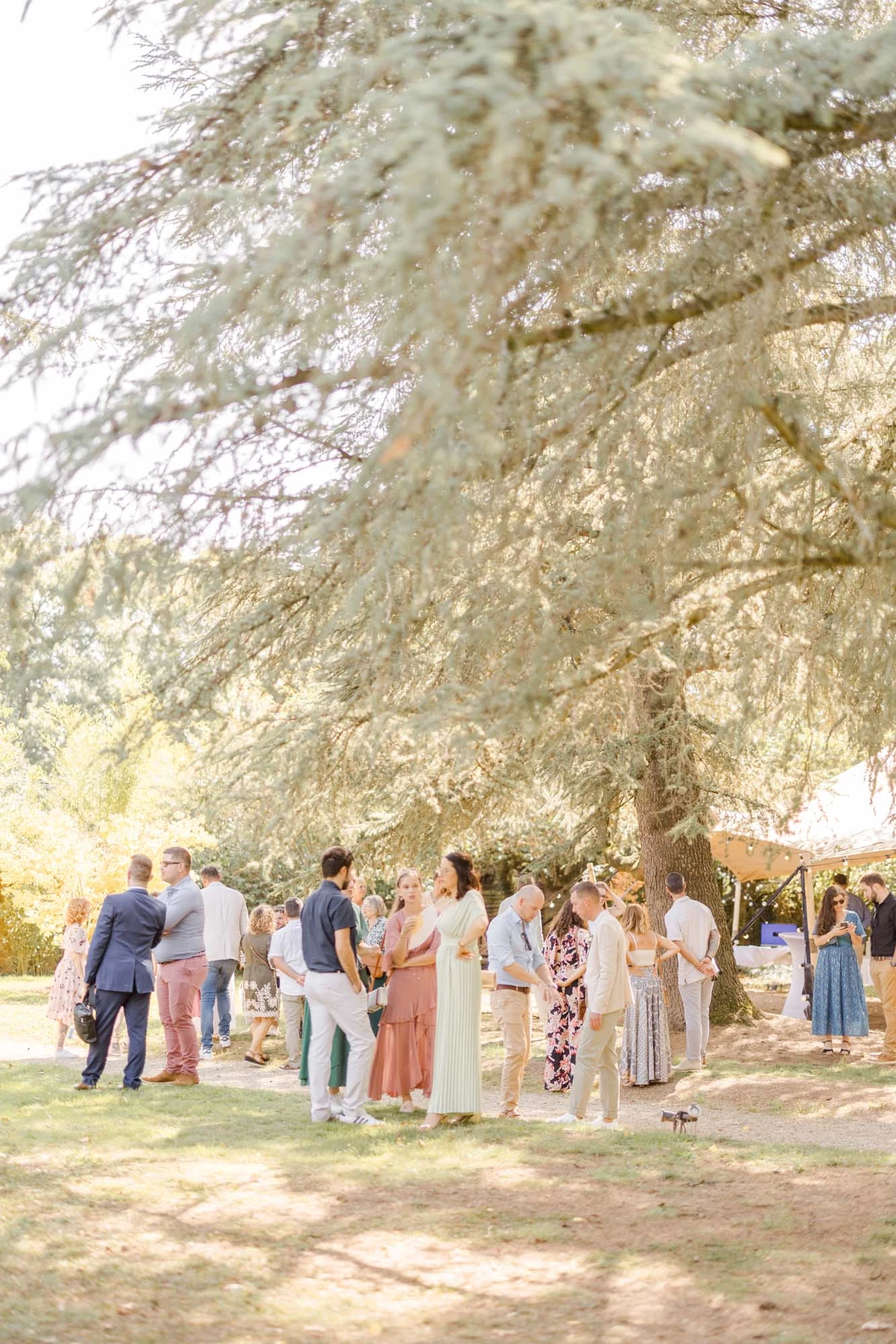 événement, brindille, vêtements de mariée, cérémonie, mariée