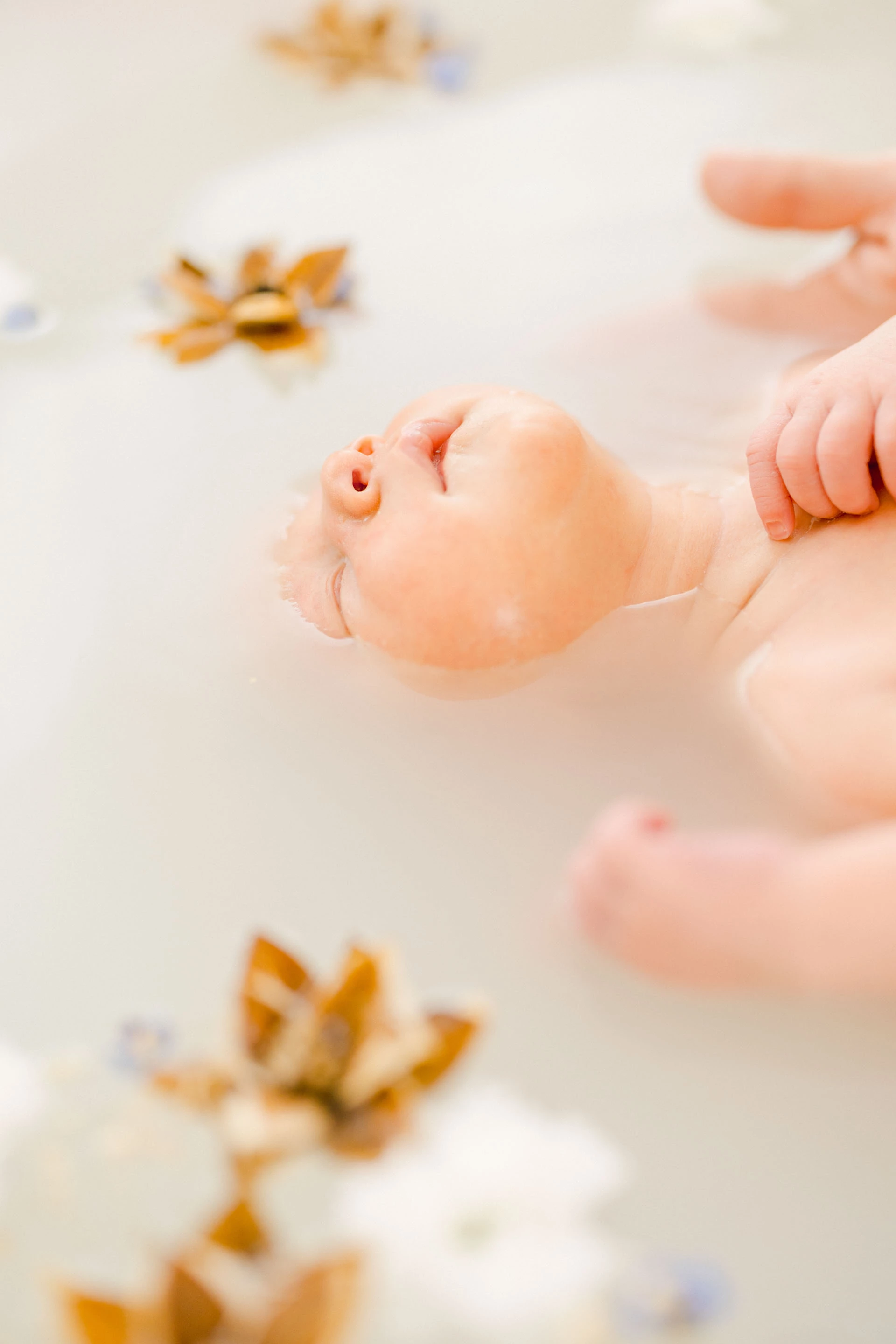 enfant pétale jouet marron gris