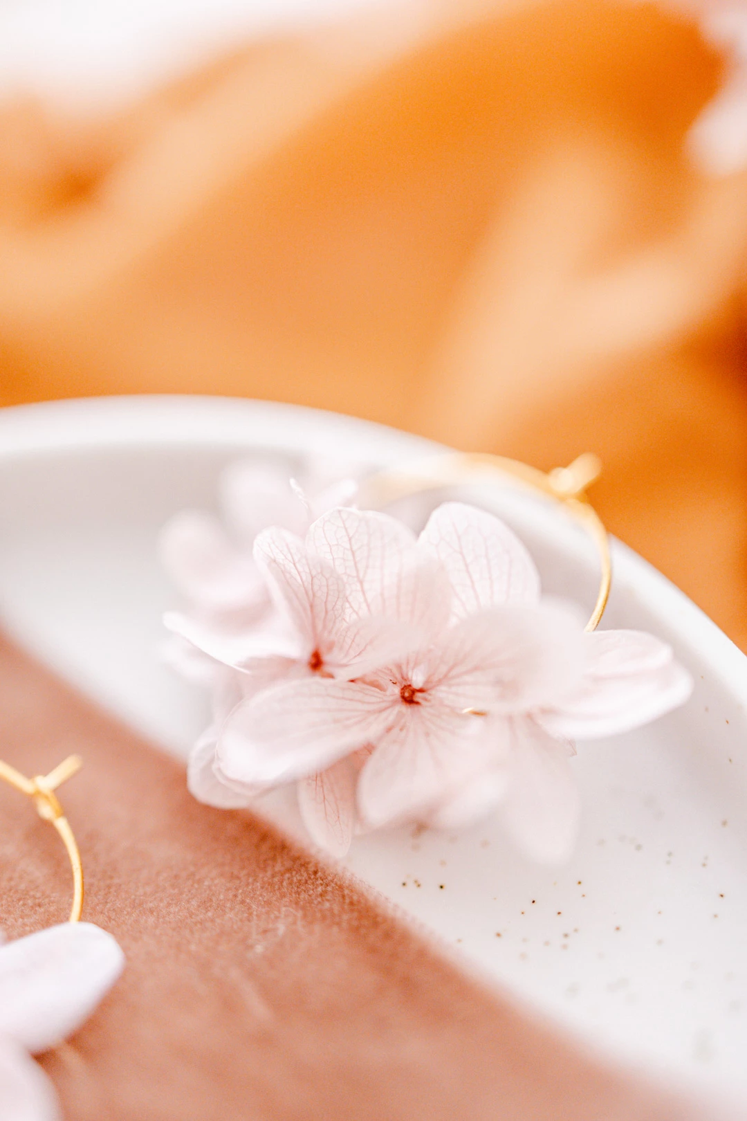 fleur pétale rose marron gris