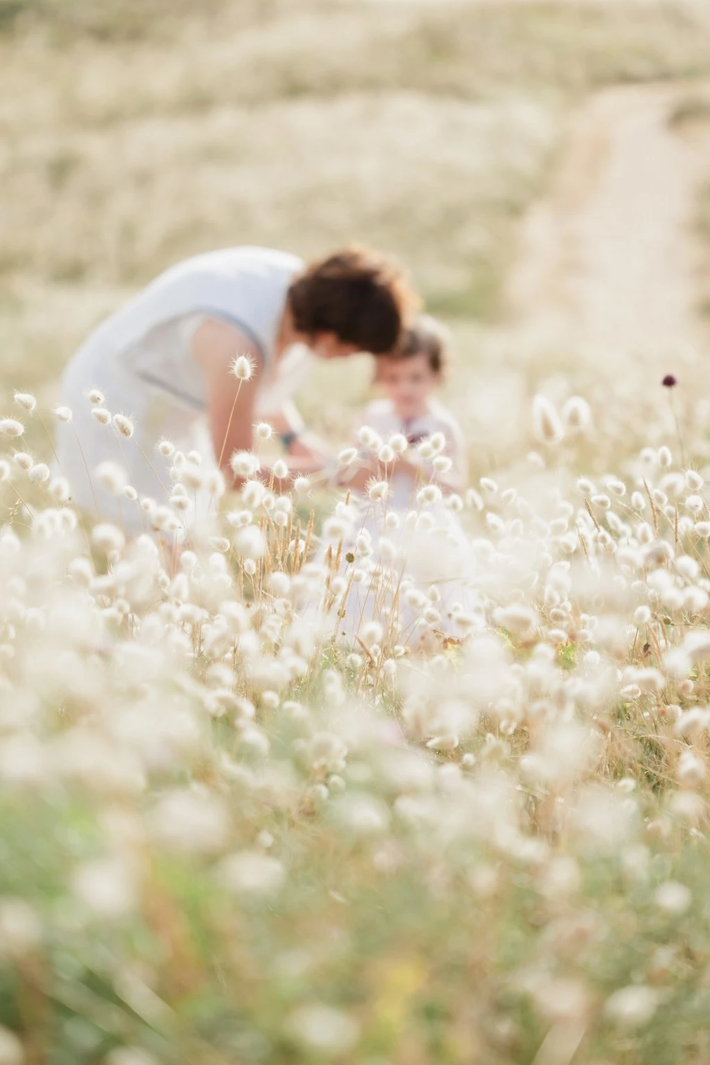 Femme en robe blanche dans un champ de fleurs blanches, moment de tendresse et d'intimité dans la lumière dorée, photographie de maternité ou famille poétique