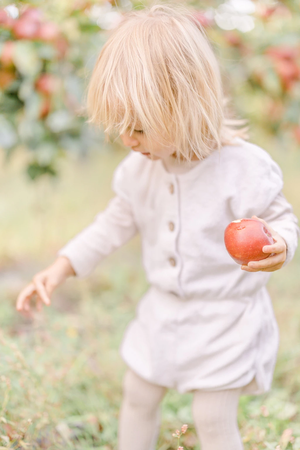 Séance famille en extérieur : enfant en robe blanche tenant une pomme rouge, lumière douce et naturelle, ambiance automnale tendre et intemporelle