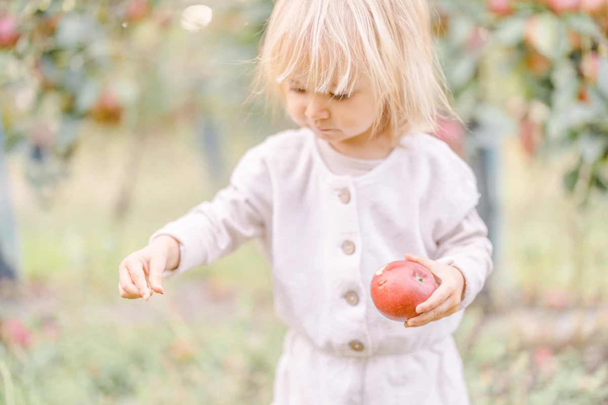 Séance famille : petite fille blonde en robe blanche cueillant une pomme rouge dans un verger ensoleillé, moment de tendresse et d'authenticité