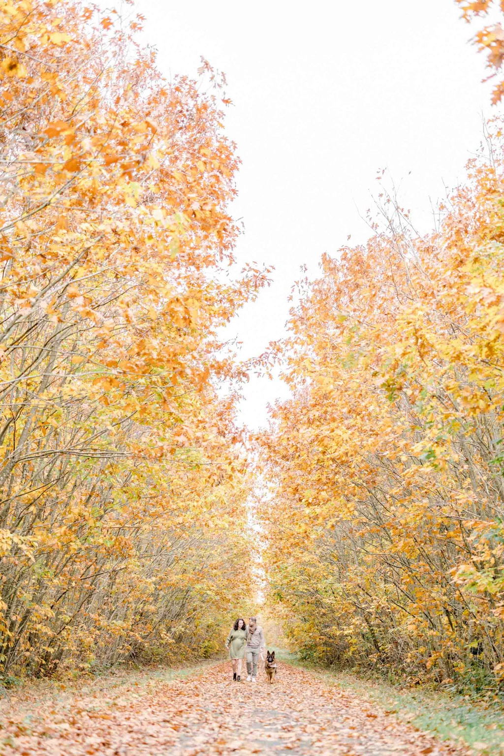 Famille marchant main dans la main sur un chemin forestier bordé d'arbres aux feuillages automnaux dorés