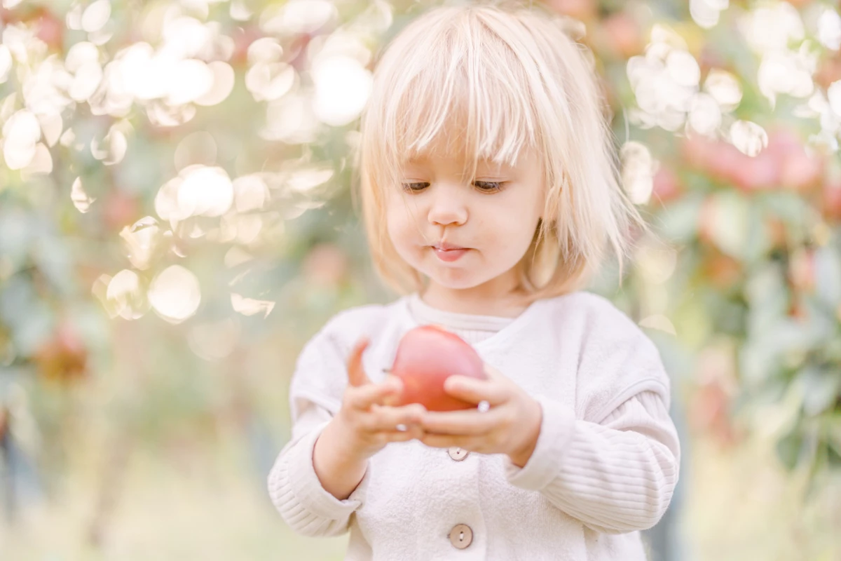 Petite fille blonde tenant délicatement une pomme rouge dans un verger ensoleillé en automne