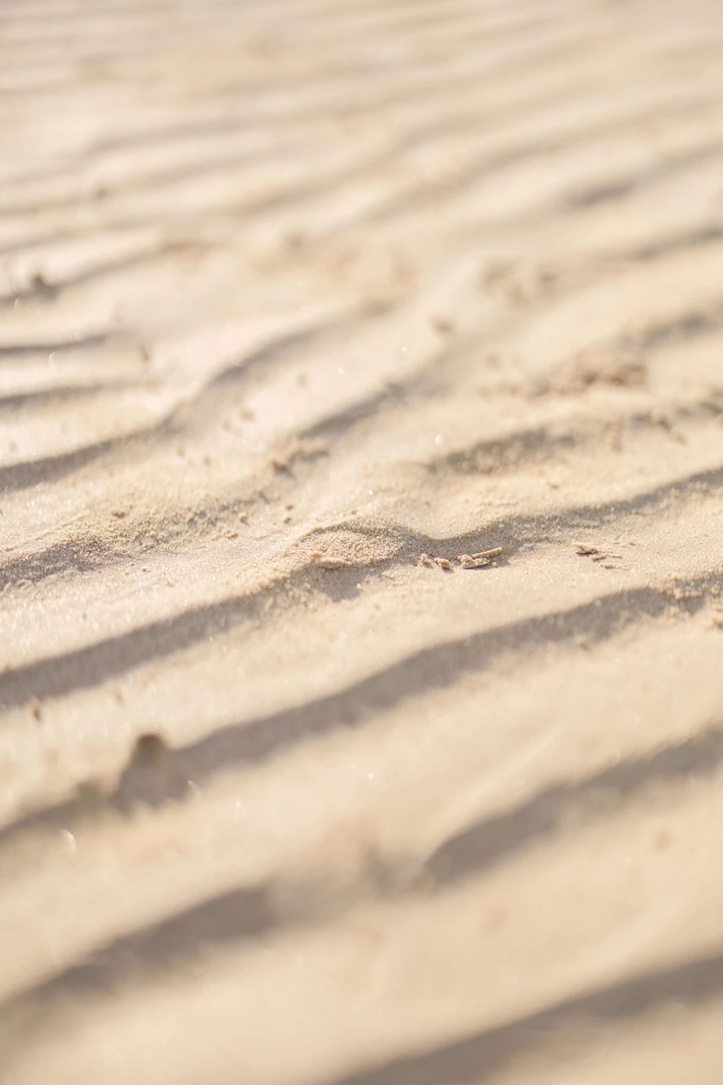 Gros plan artistique sur les ondulations du sable créées par le vent sur une plage