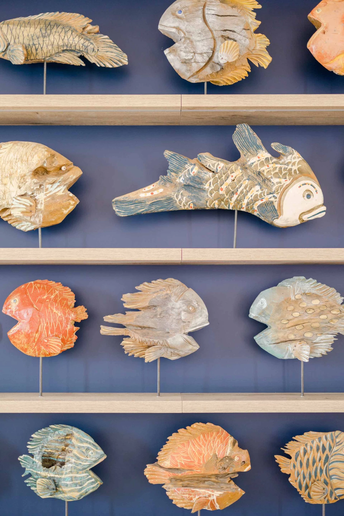 fossile coquillage rose gris bleu