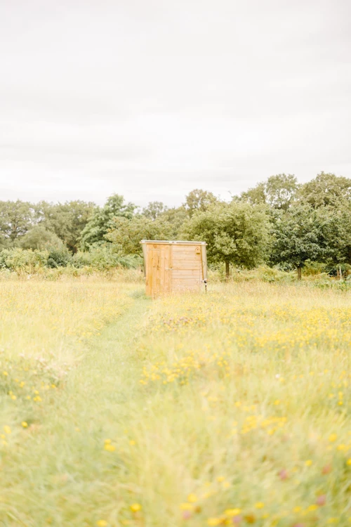 Cabanon en bois au milieu d'un champ de fleurs jaunes sauvages sous un ciel lumineux d'été