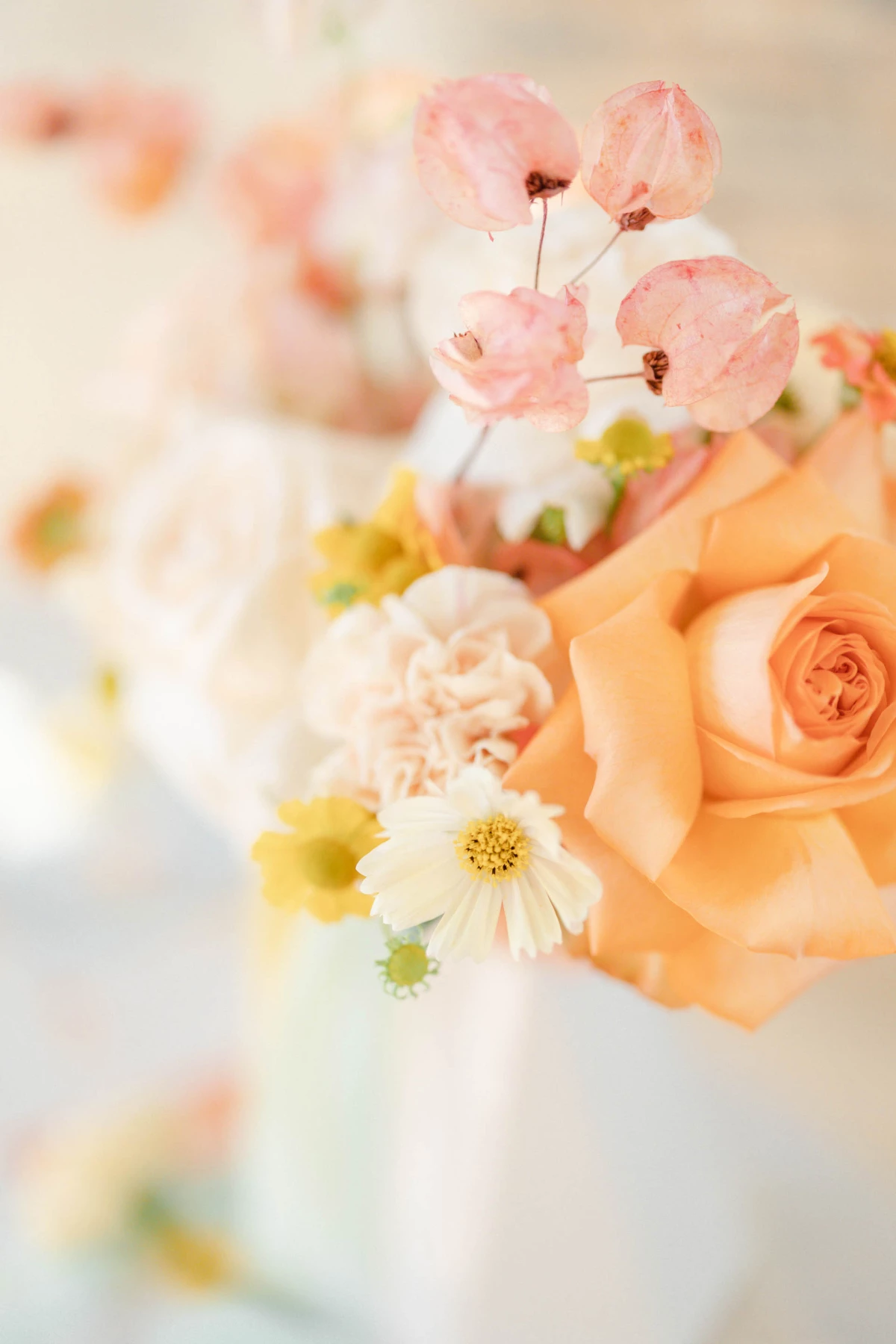 fleur pétale jaune orange rose