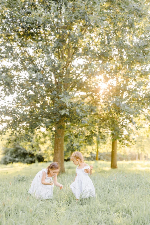 Séance photo famille en extérieur : deux jeunes enfants en blanc dans un pré verdoyant sous de grands arbres, lumière dorée et douce, ambiance tendre et intemporelle