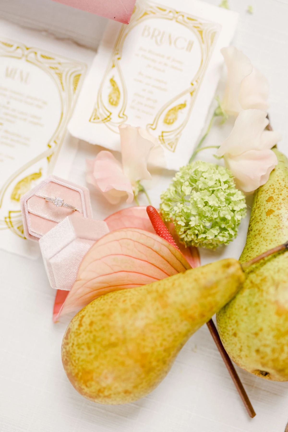 rose papier nourriture fruit orange