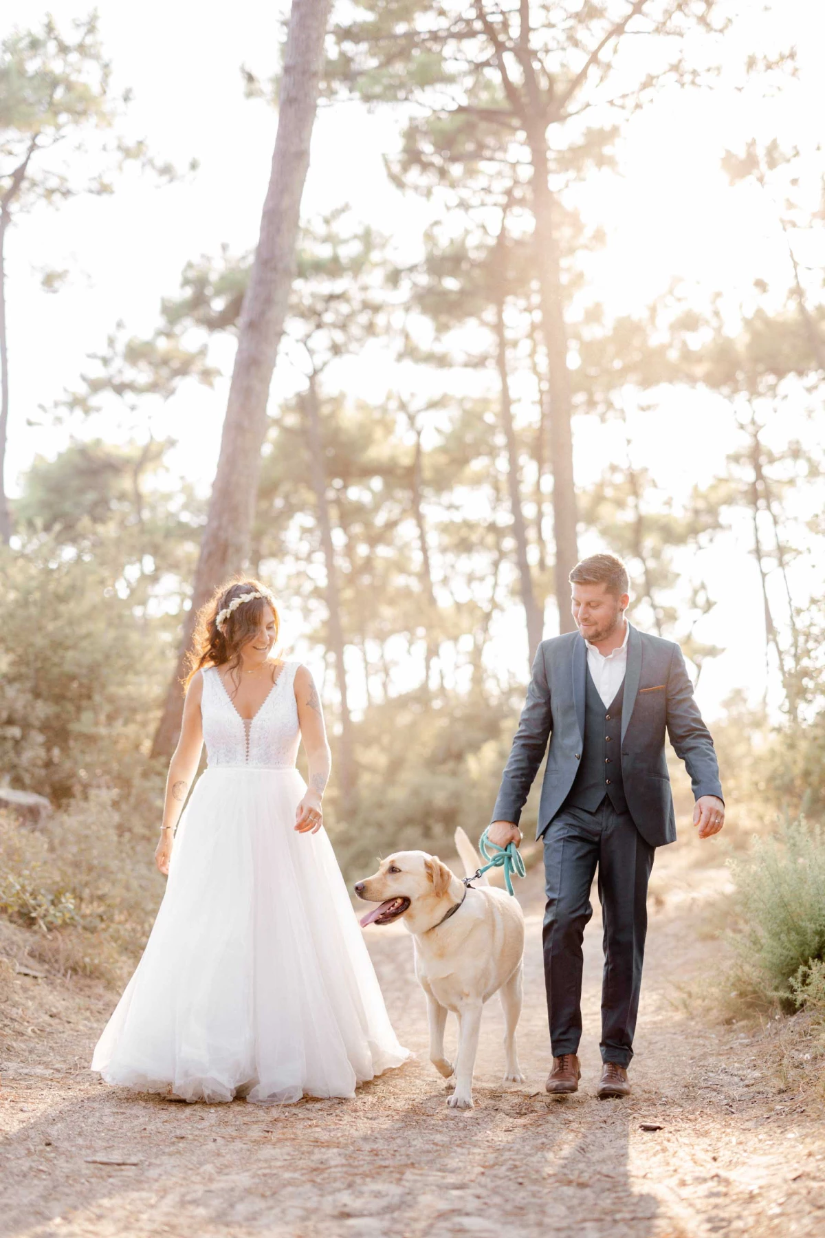 Mariage en forêt : mariée en robe blanche et marié en costume gris marchent main dans la main avec leur chien labrador sur un chemin de pins dorés par le soleil couchant
