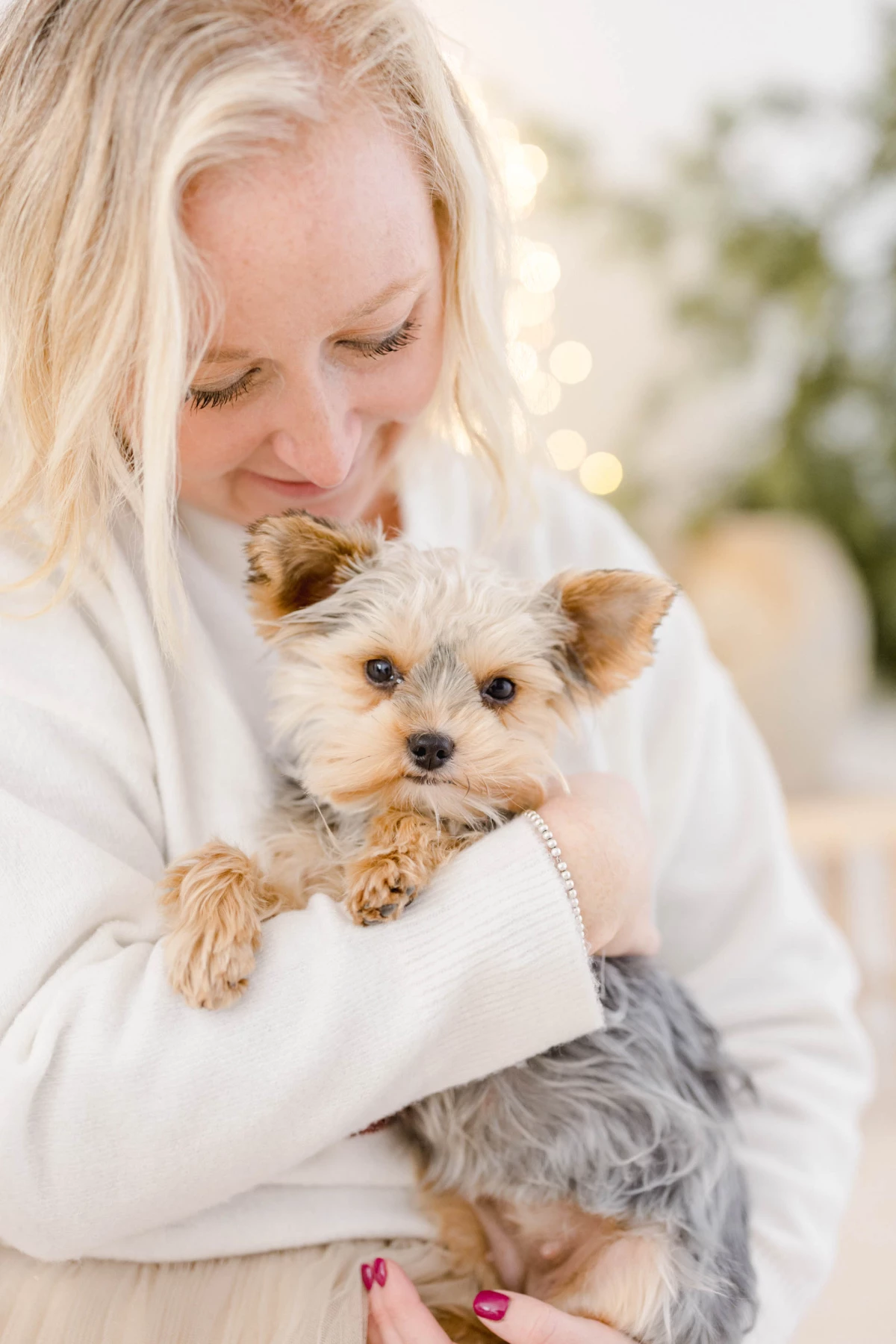 sourire bonheur gris marron animal