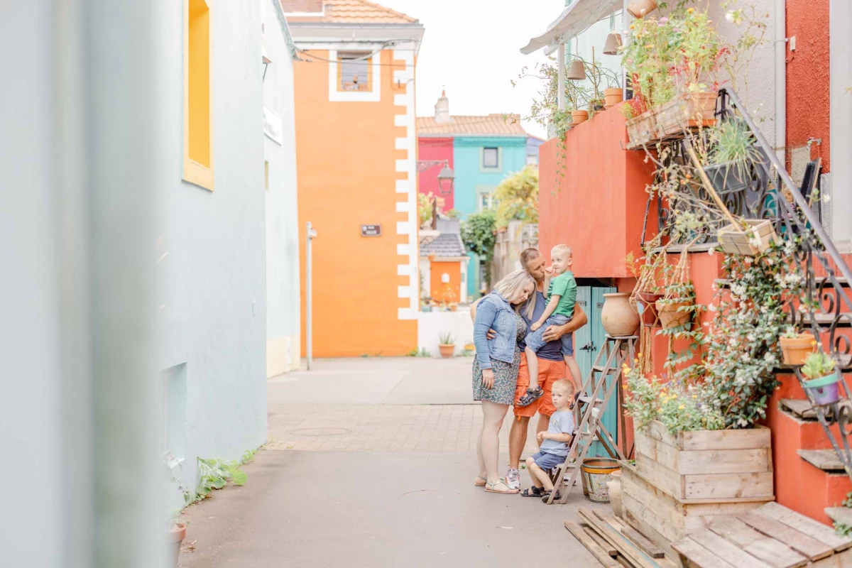 orange plante d'intérieur gris marron fleurs