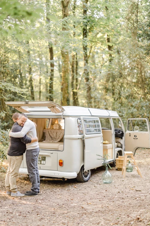 marron beige vert gris voiture