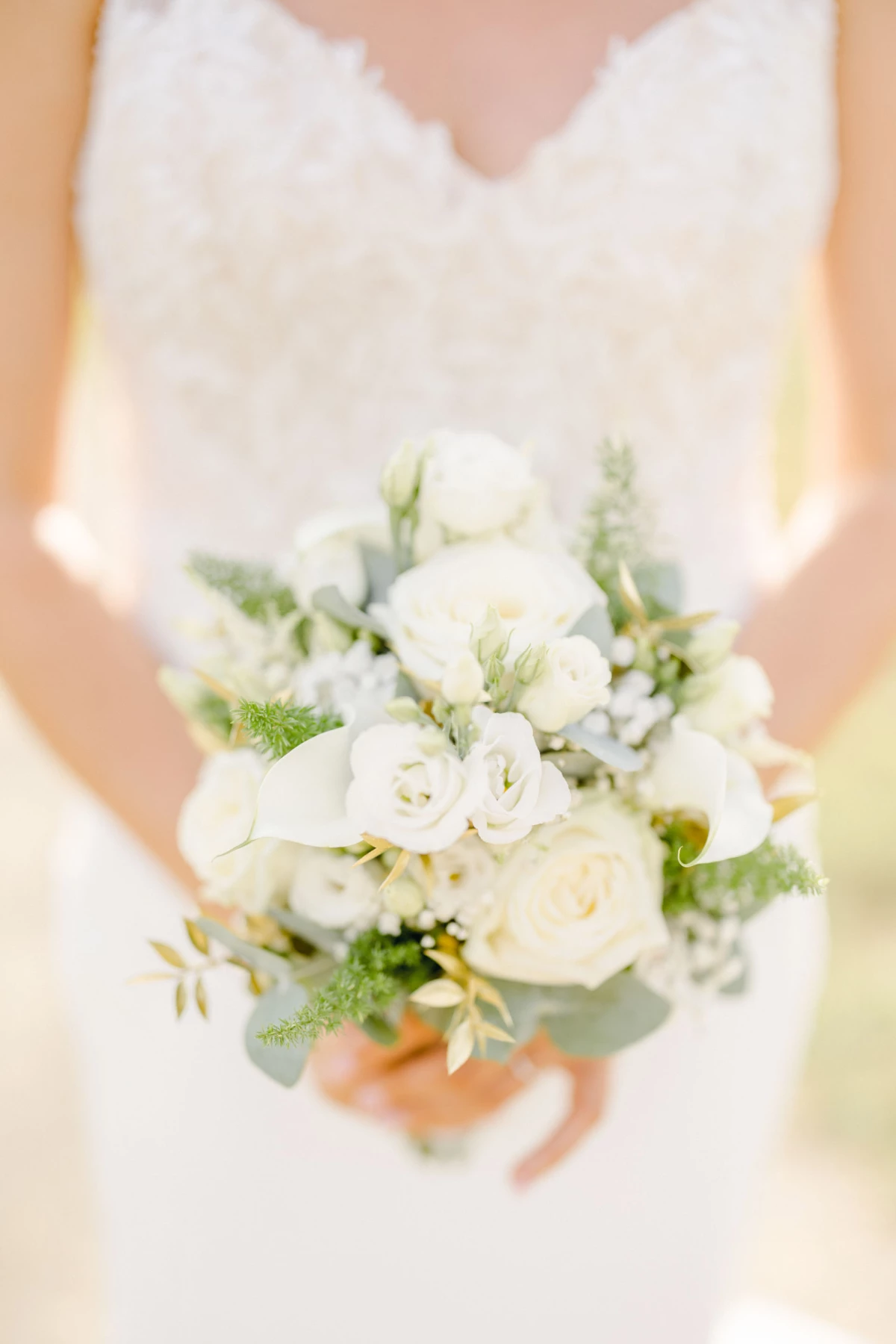 fleur pétale blanc composition florale rosiers de jardin