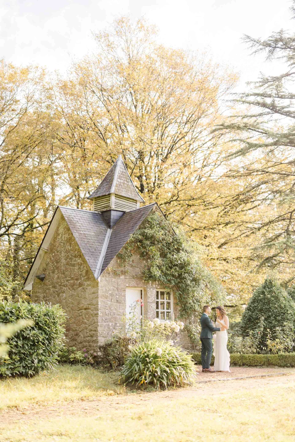 arbuste chalet jardin domaine ferme