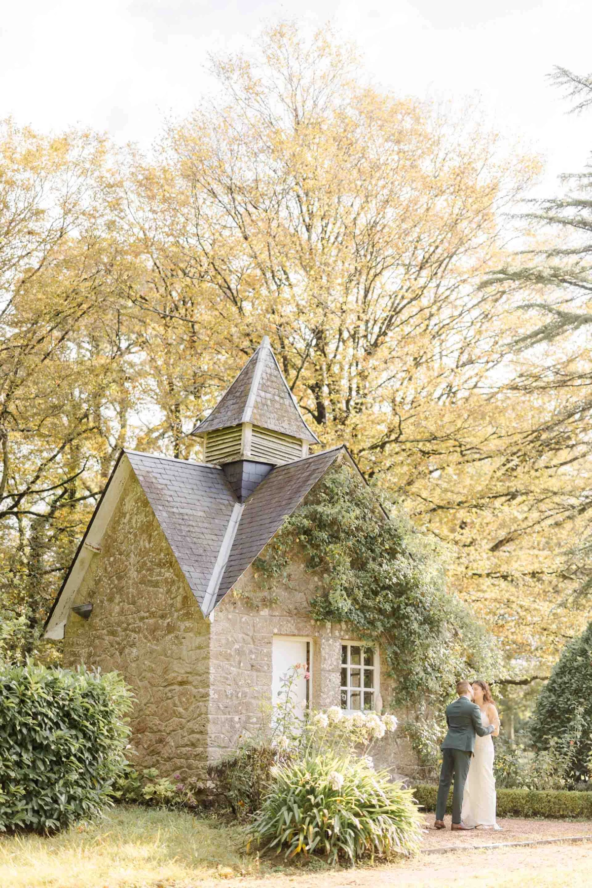 arbuste chalet toit jardin domaine