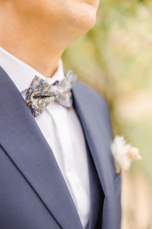 noeud papillon bleu collier costume bouton