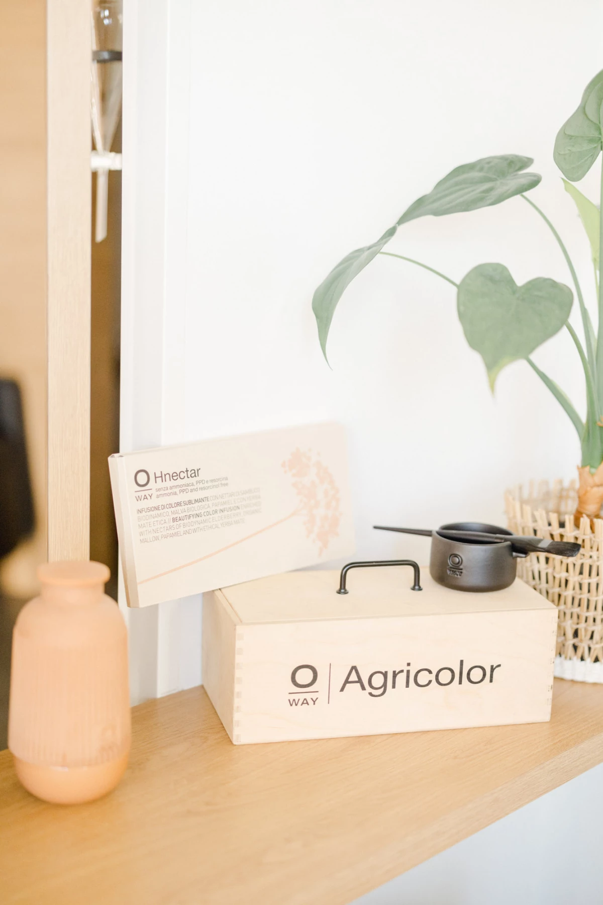 plante d'intérieur fournitures de bureau boîte beige rose