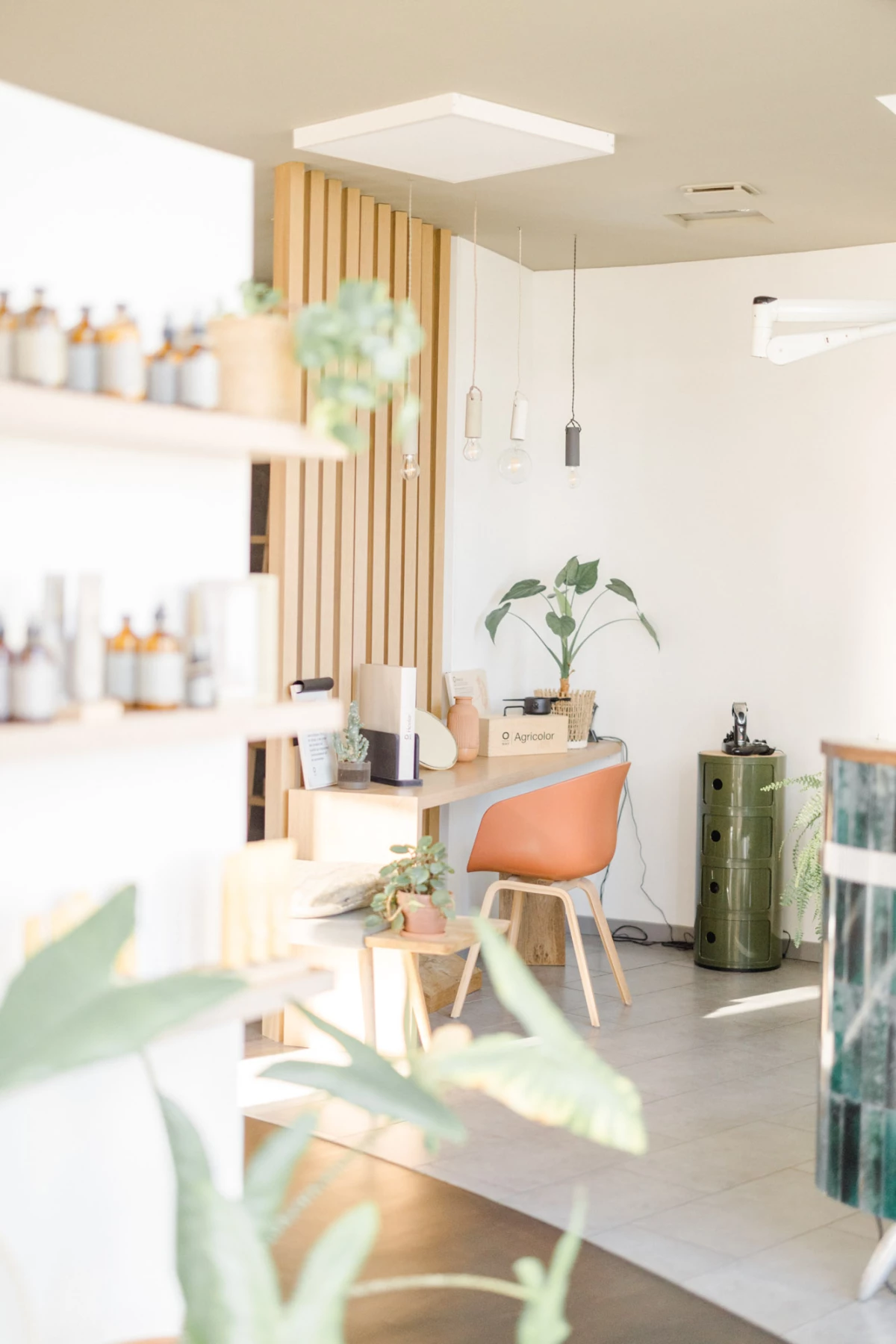 plante d'intérieur chaise luminaire bureau vase