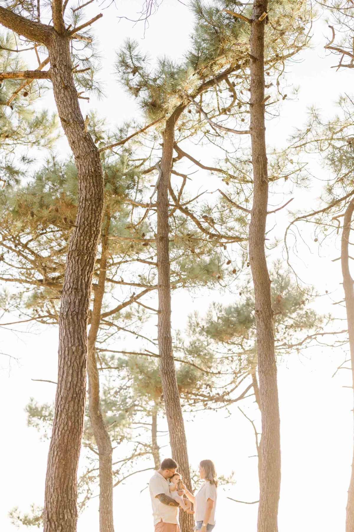 Couple et deux enfants enlacés dans une forêt de pins, lumière douce et naturelle