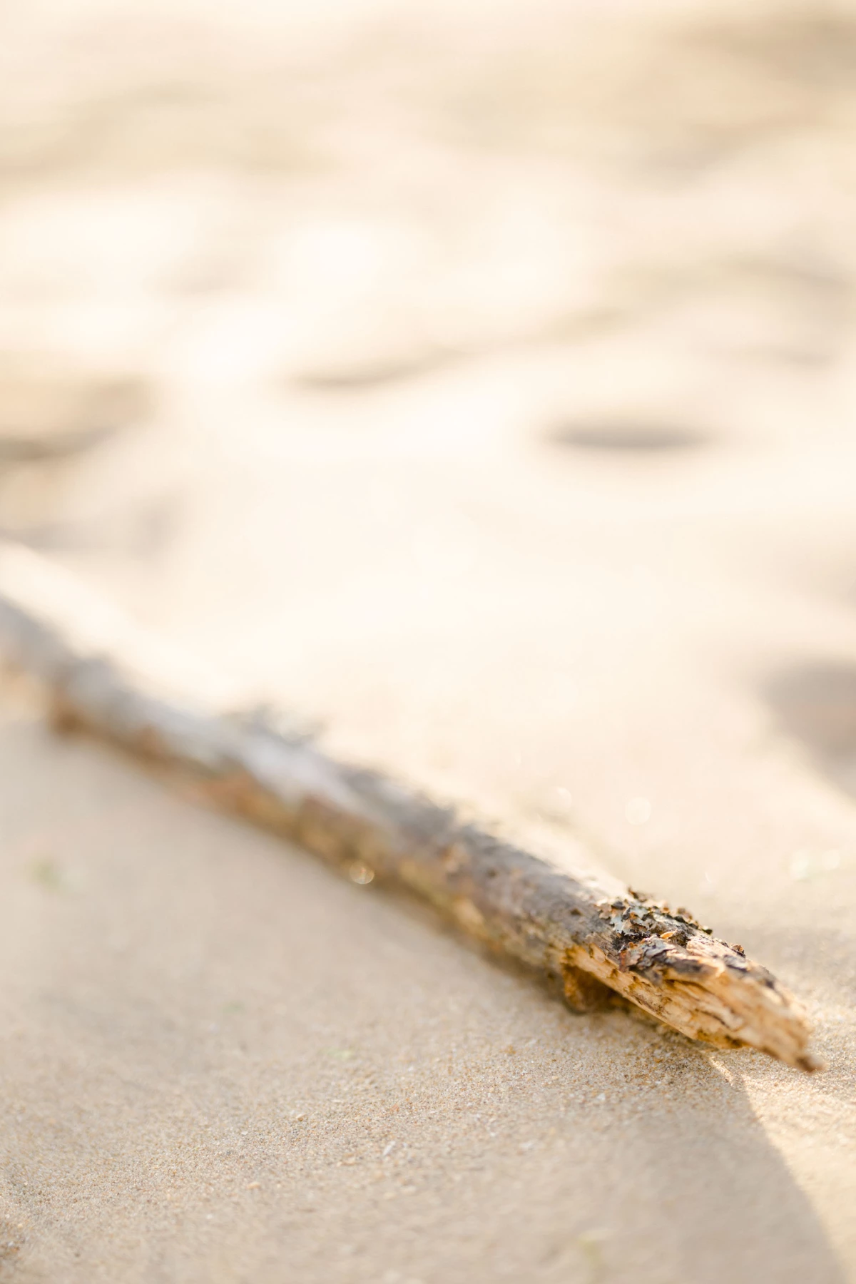 sable plage marron gris