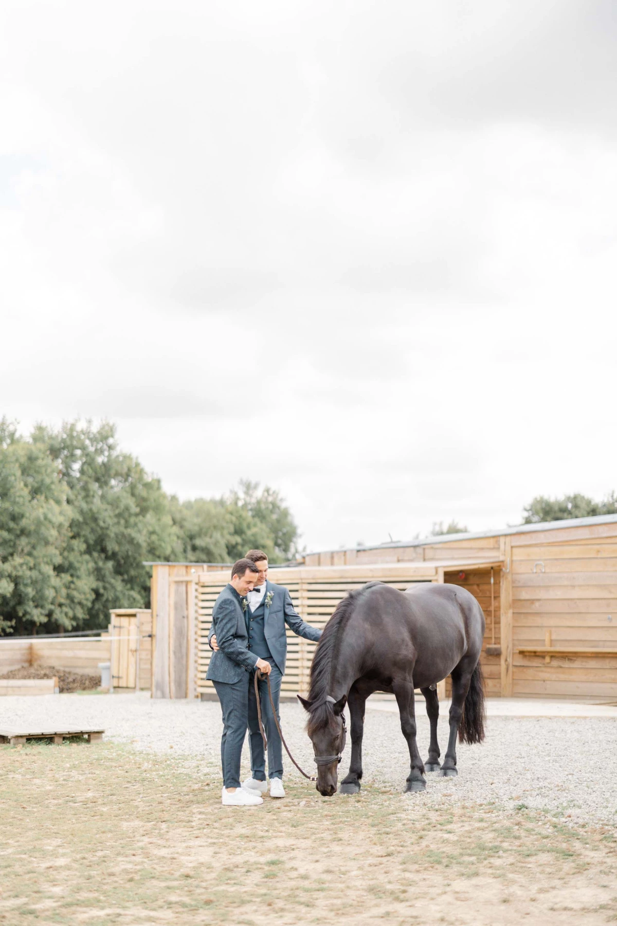 amour mariage cheval beige gris