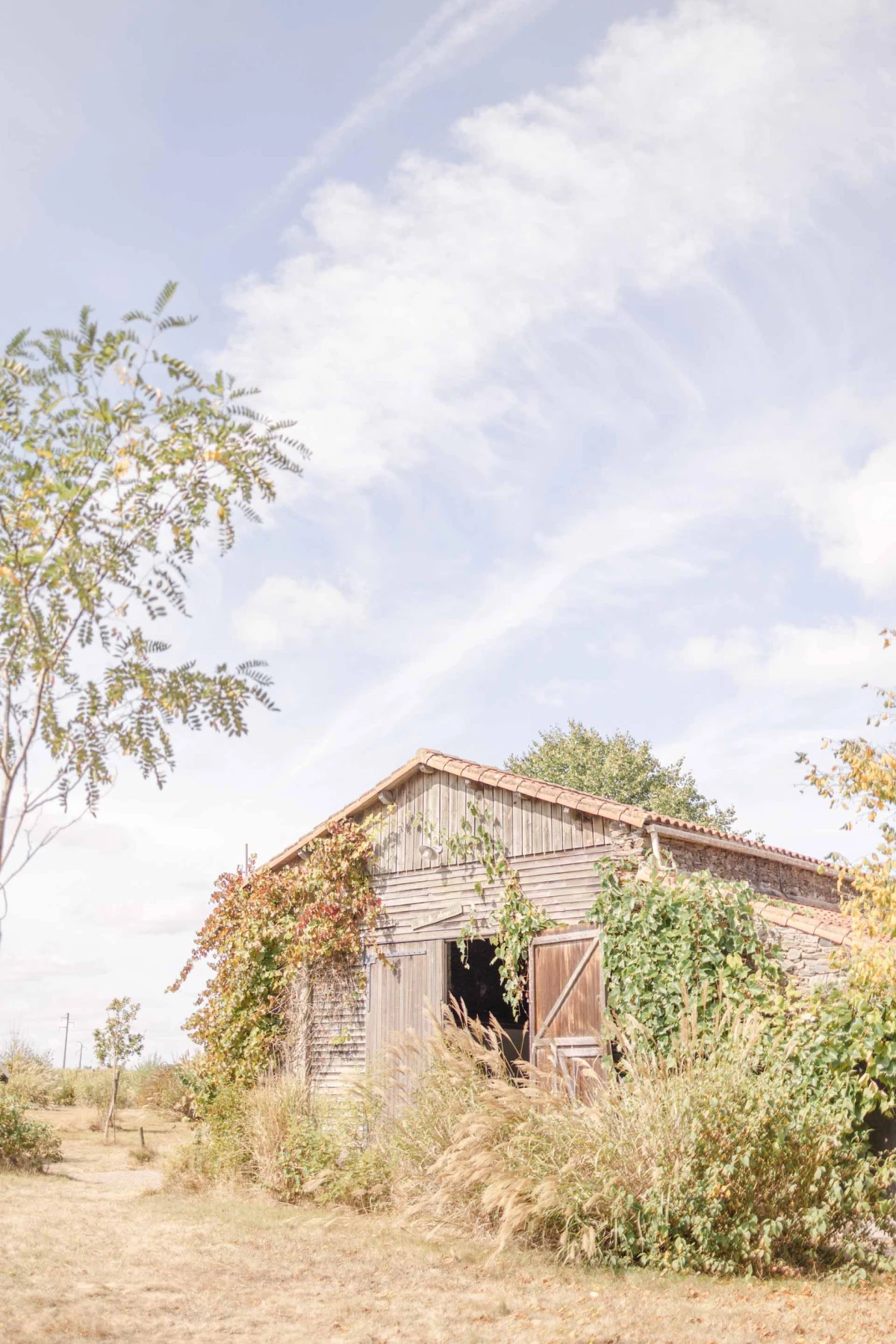 plantes hangar grange champ prairie