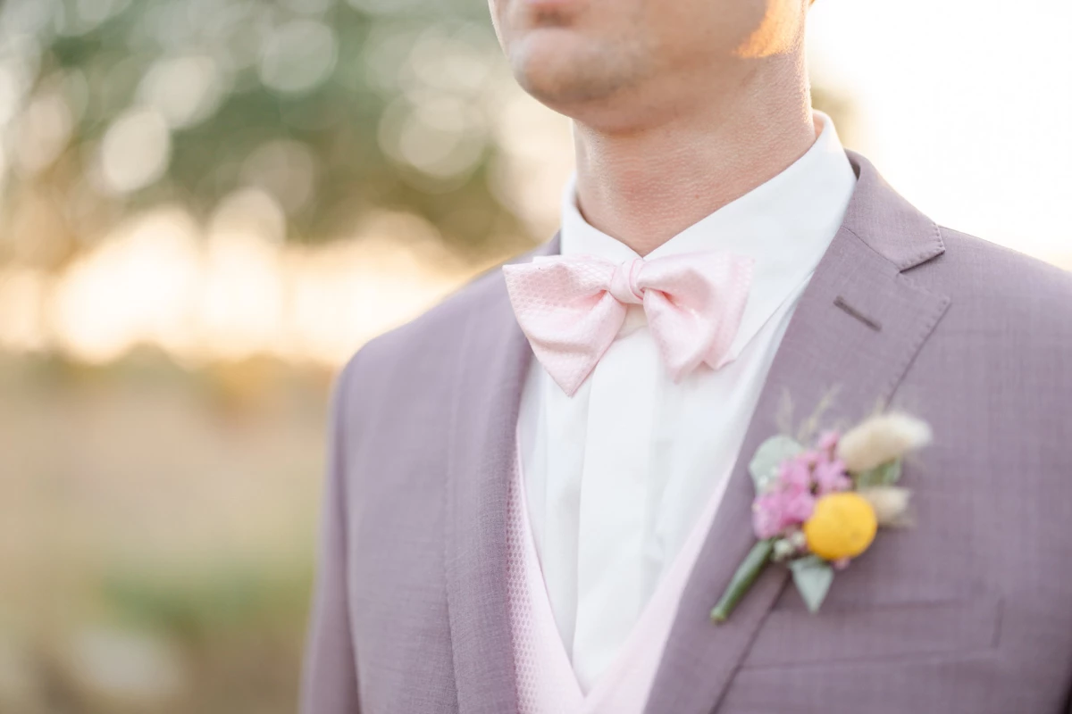 noeud papillon collier rose costume gris