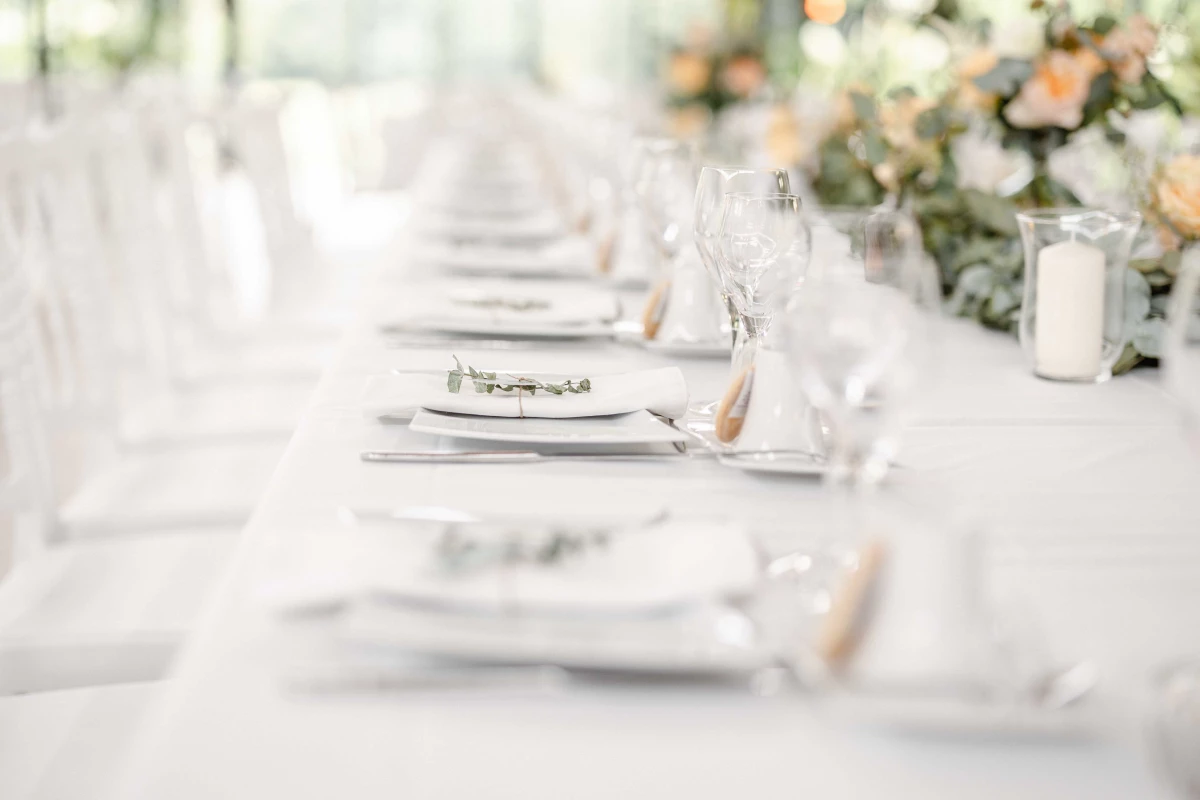 vaisselle événement verres verres à pied meubles