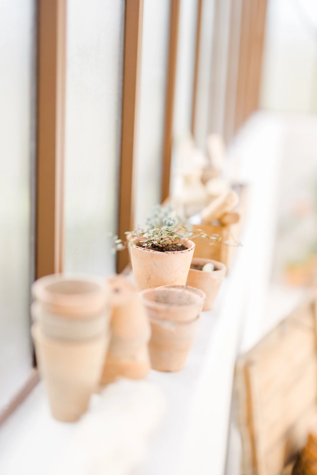 Détail décoratif d'un rebord de verrière avec pots en terre cuite beige, plantes séchées et ambiance douce pour séance photo studio