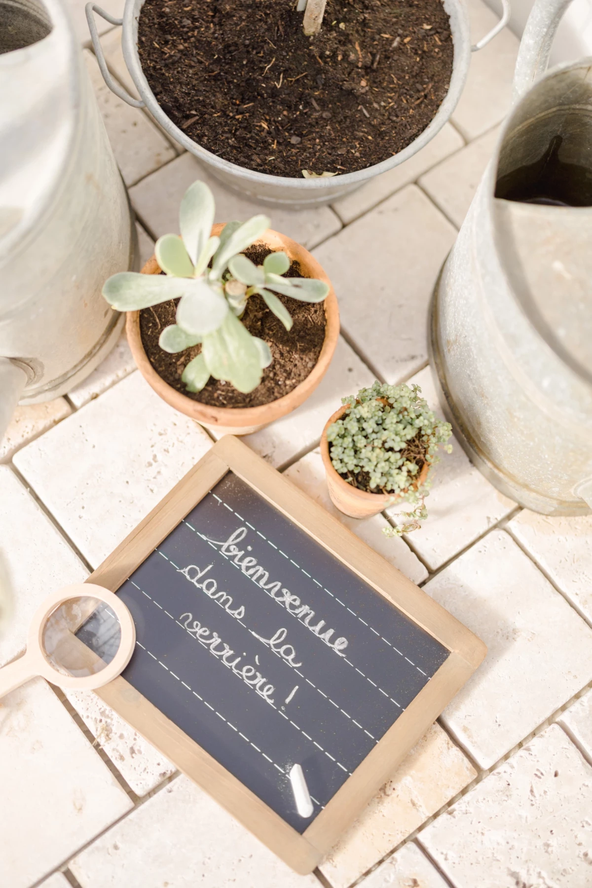 Détail décoration végétale : plantes succulentes en pots terre cuite et ardoise calligraphiée, ambiance naturelle et artisanale