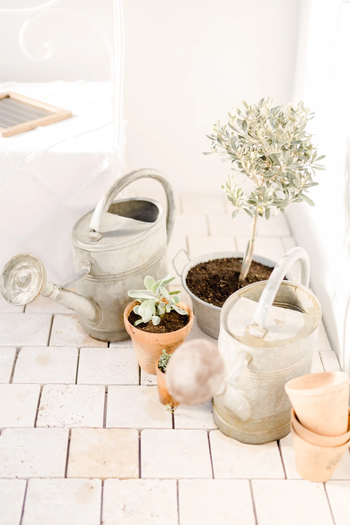Décoration printemps : arrosoirs et pots en terre cuite avec fleurs blanches sur plancher clair, ambiance douce et naturelle