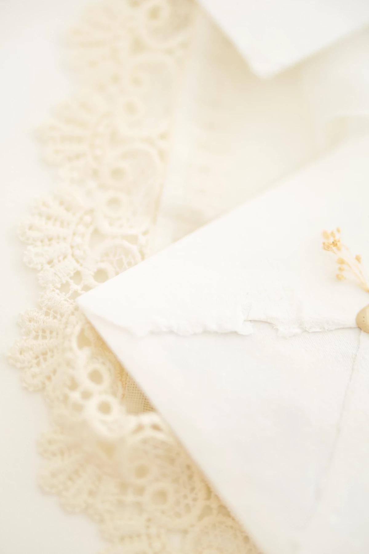 Contact Cécile Potier