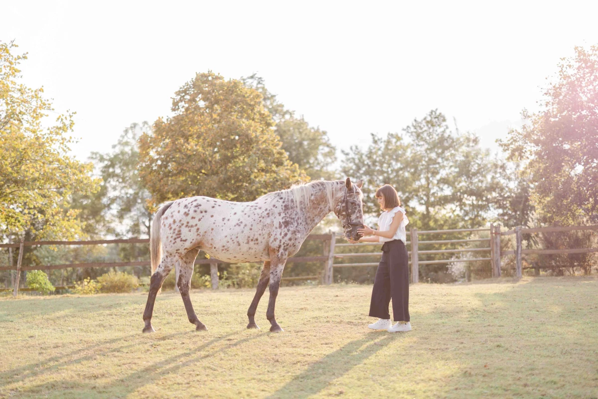 cheval ranch bride marron beige
