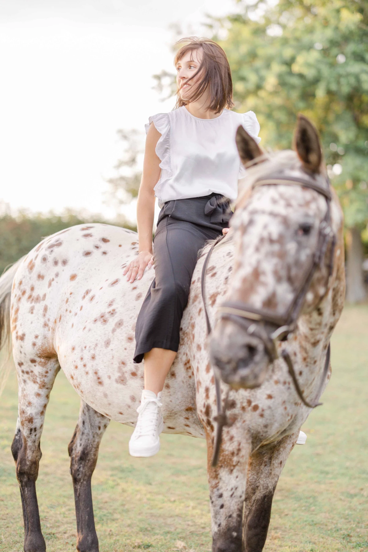 cheval bride gris beige animal