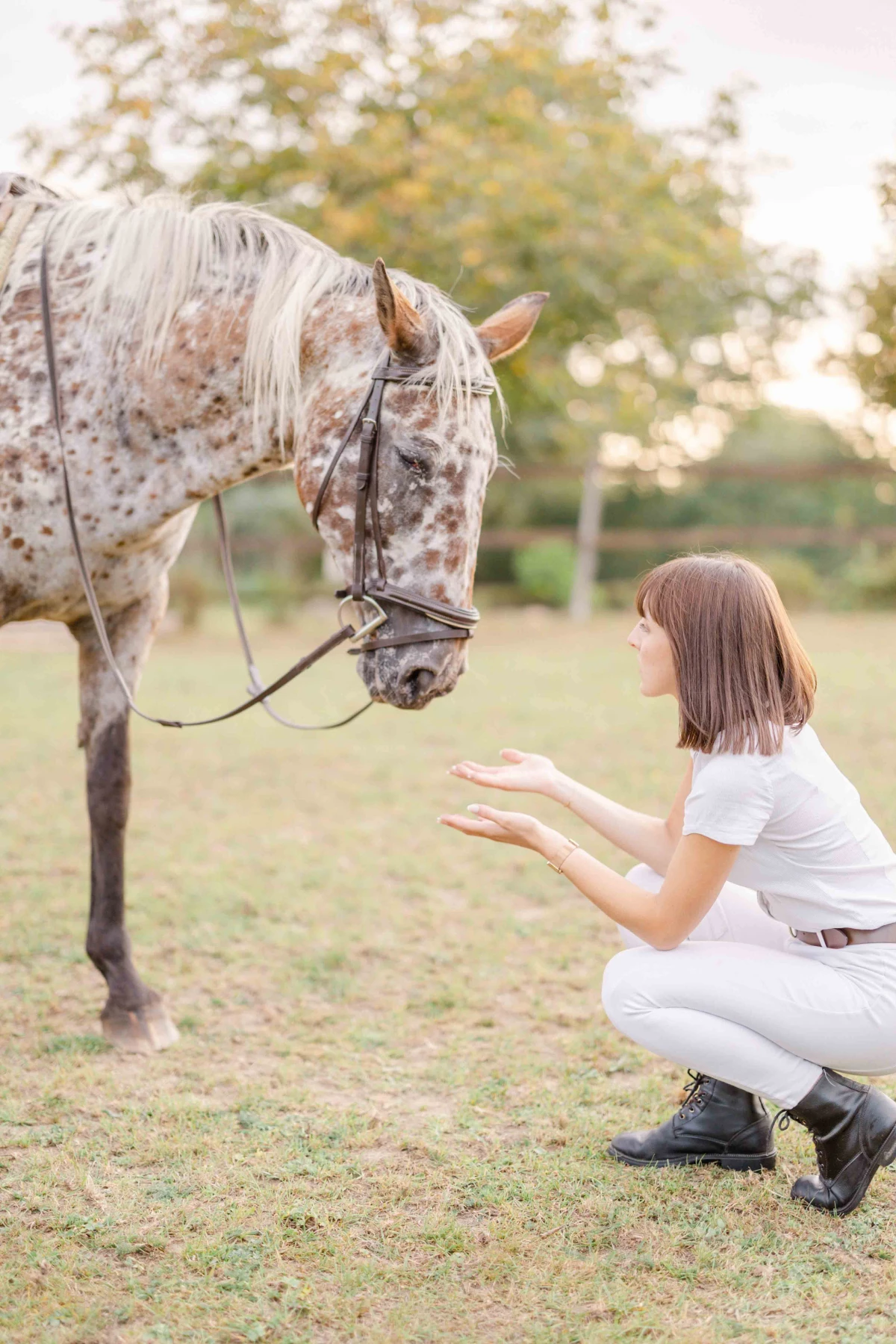 cheval bride beige gris nature