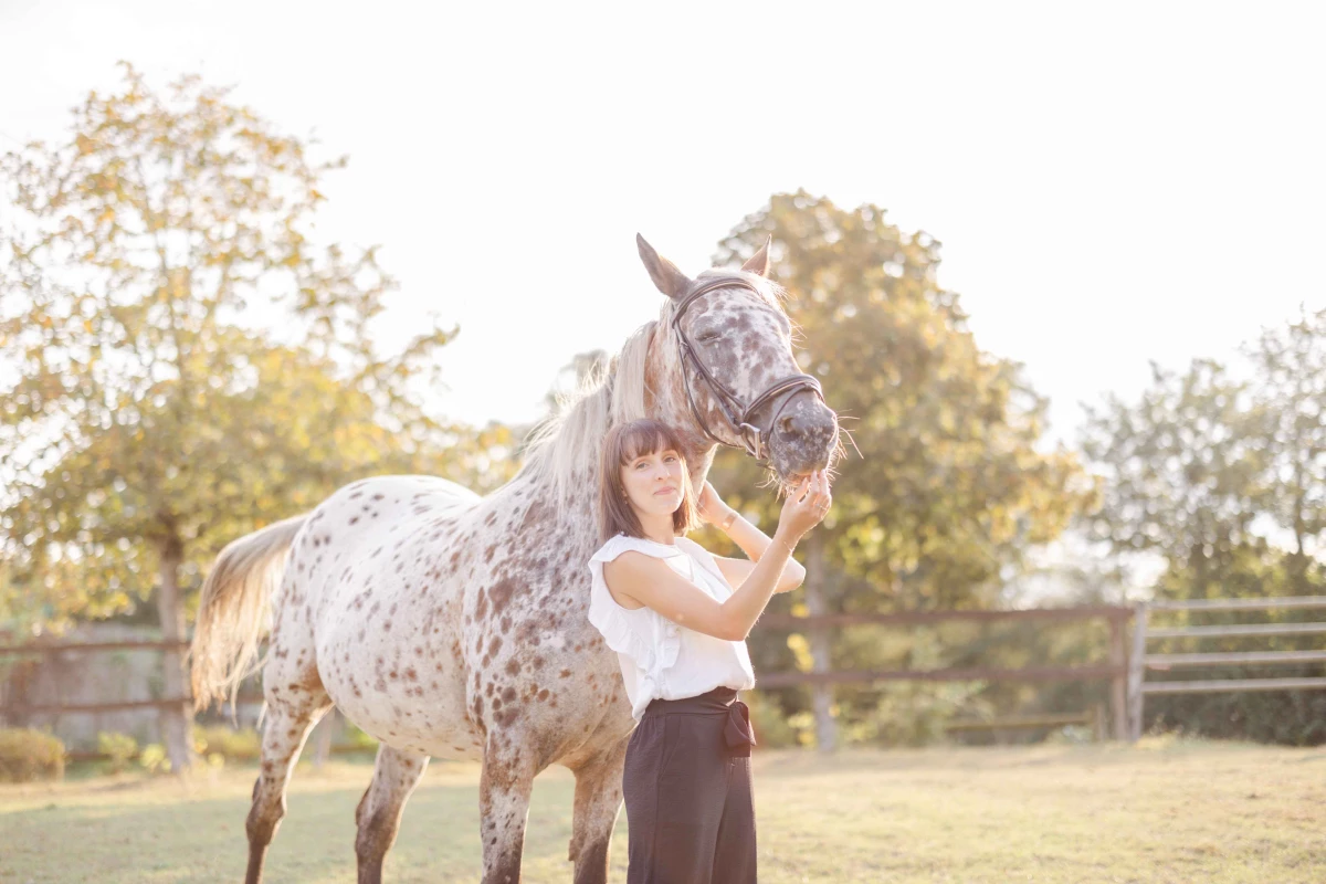 cheval bride ranch beige gris