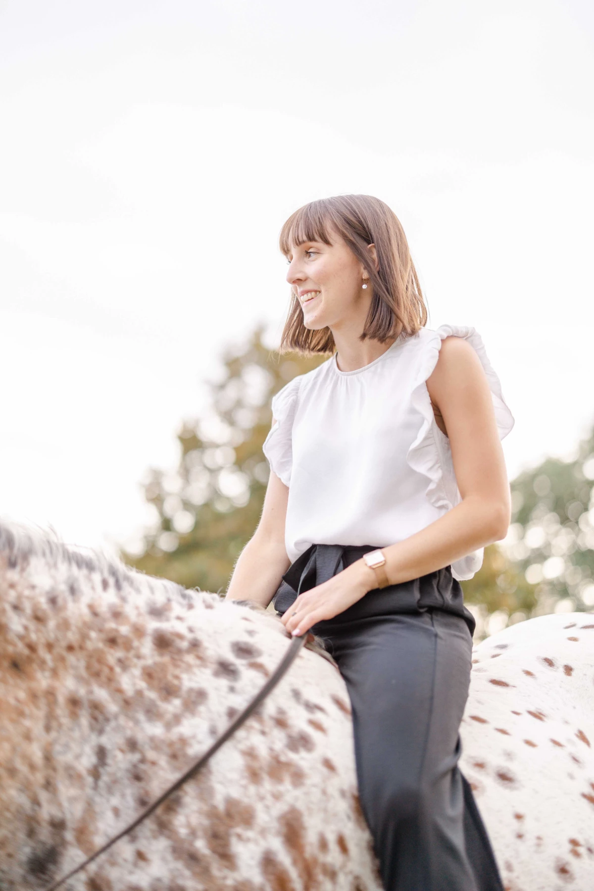 cheval bride gris extérieur