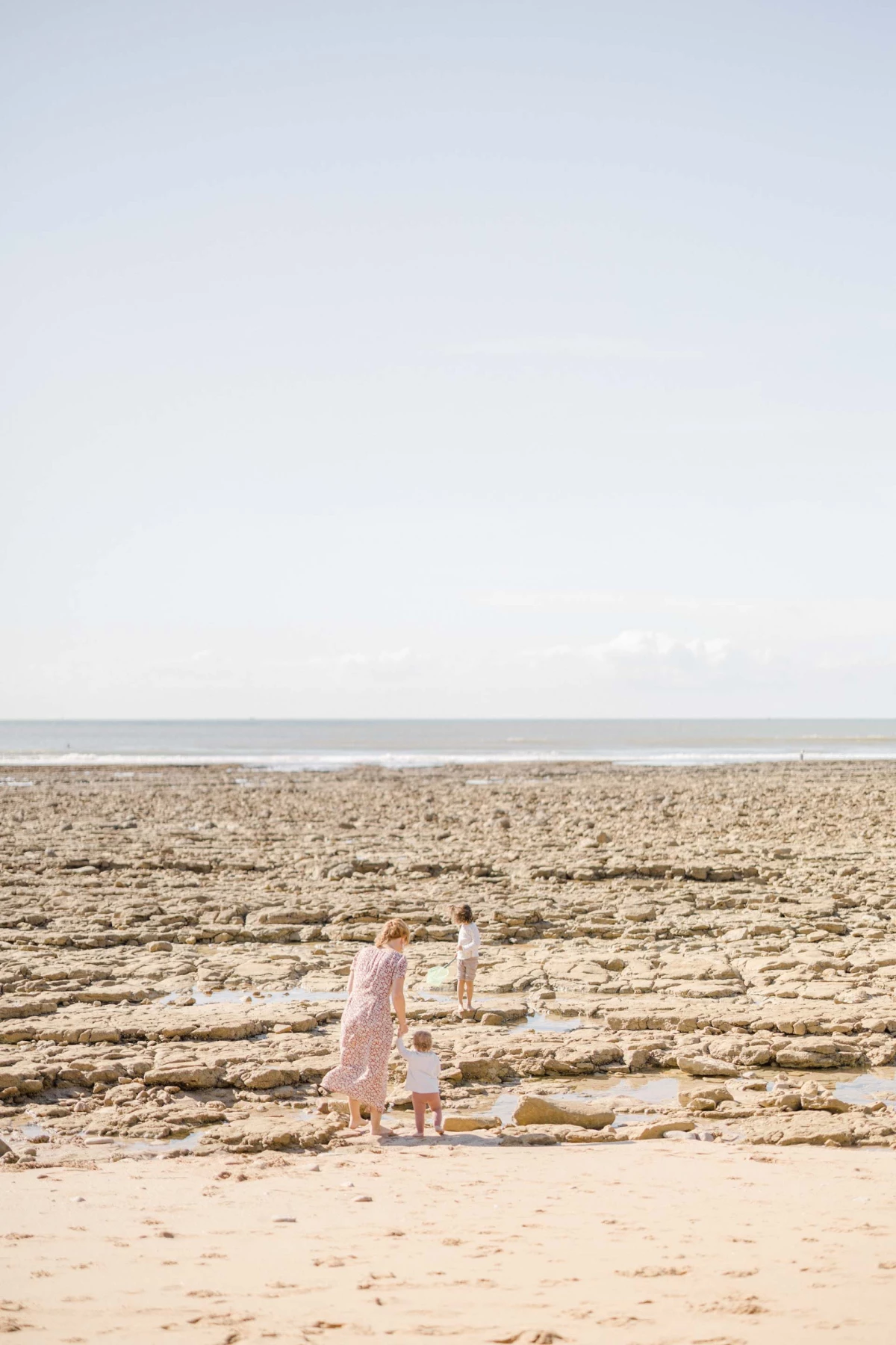 plage mer sable côte marron